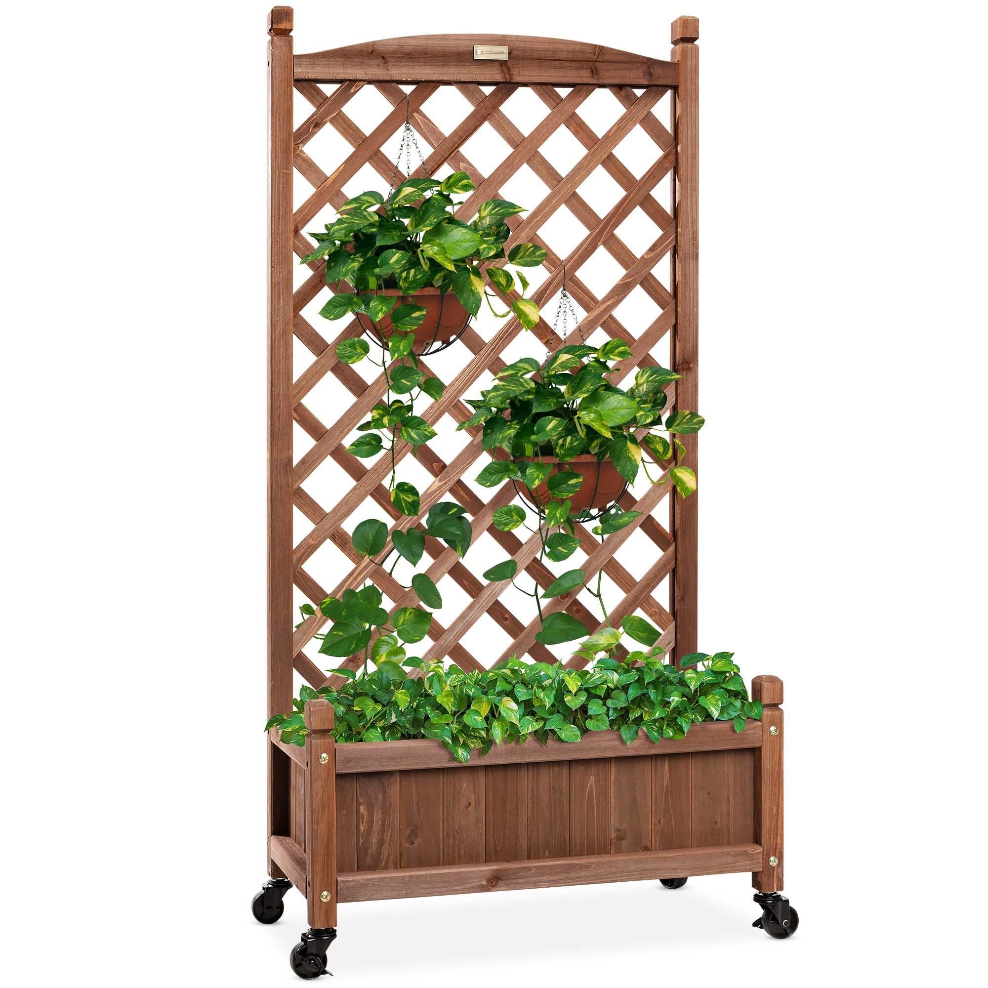 Walnut Fir Wood Mobile Planter Box with Trellis