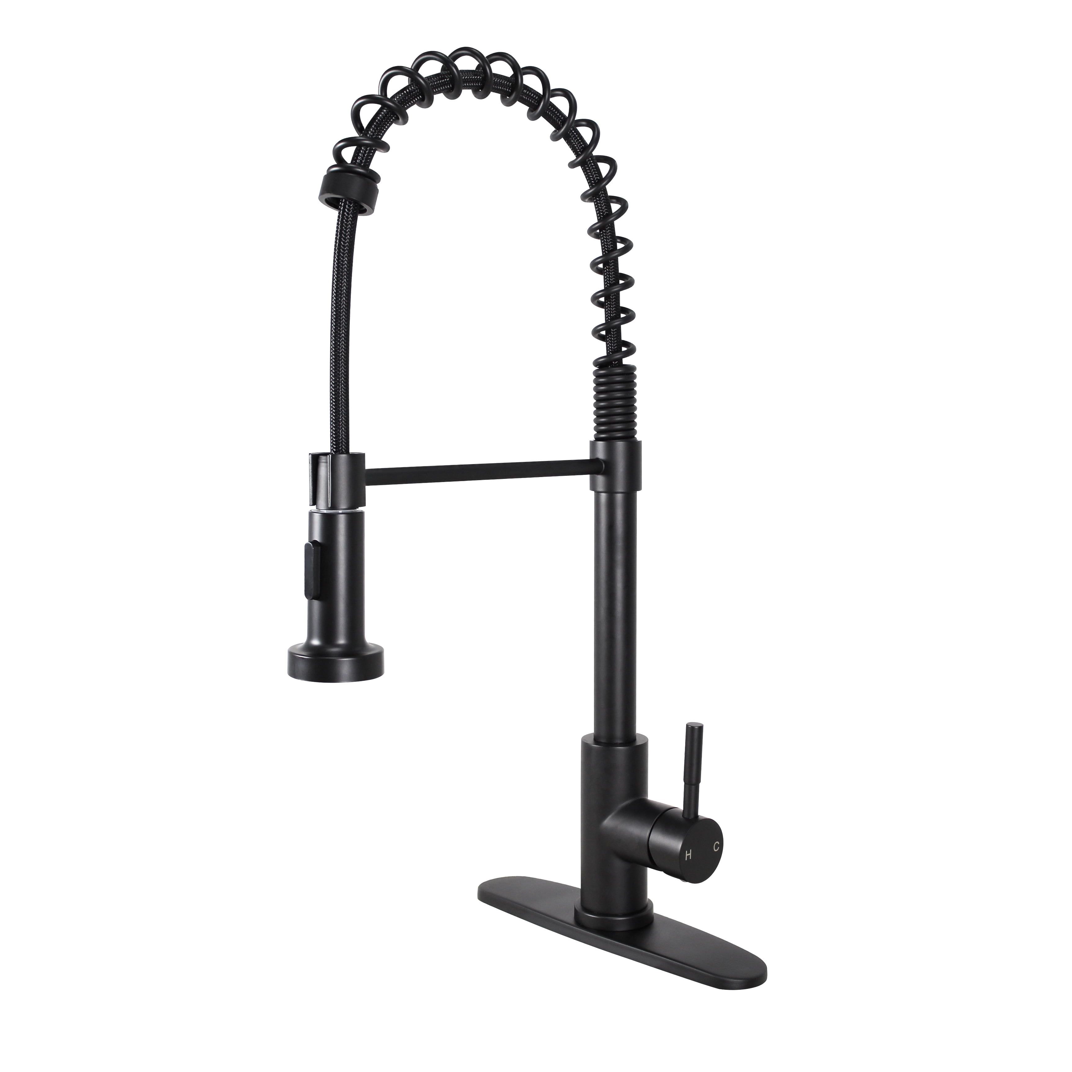 Matte Black Single-Handle Spring Neck Kitchen Faucet with Pull-out Spray