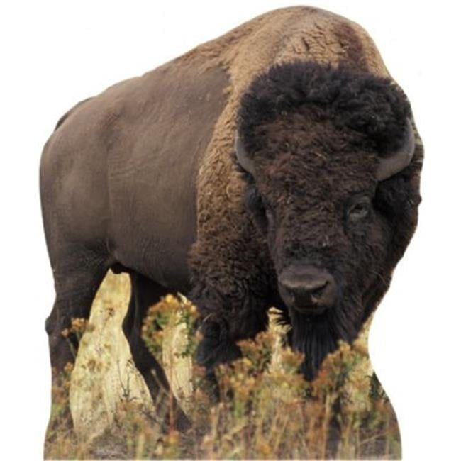 Life-Size American Bison Brown Cardboard Stand-Up