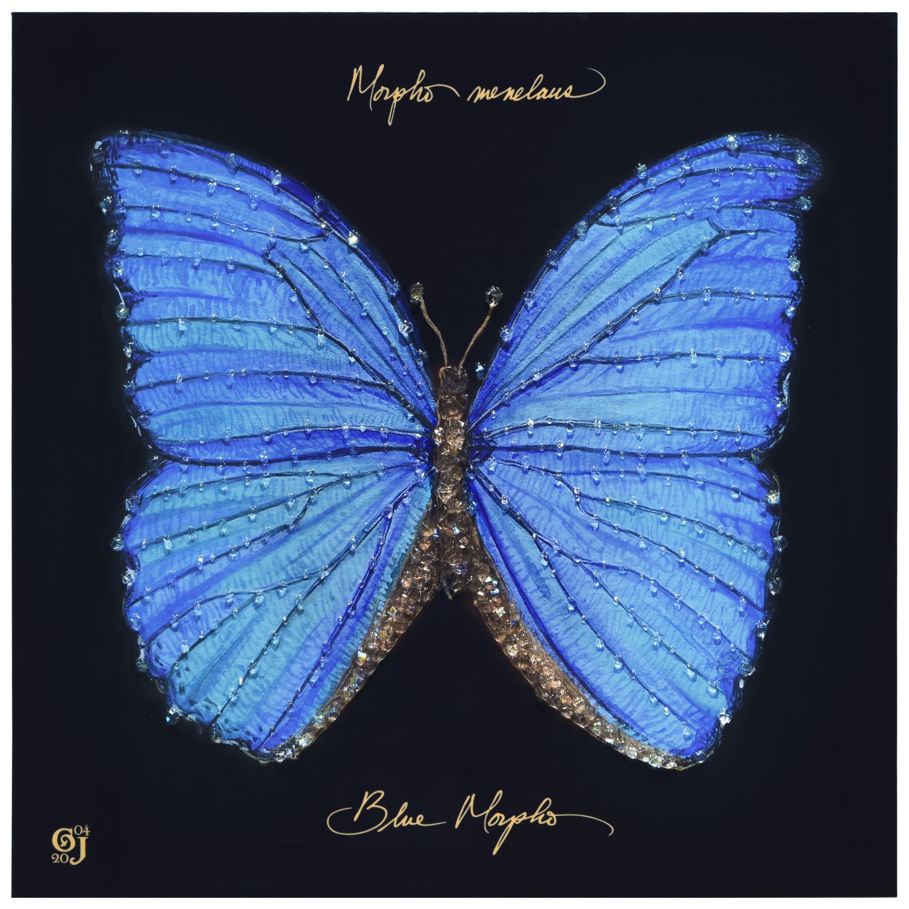 Blue Monarch Elegance Epoxy Coated Glossy Butterfly Canvas Wall Art