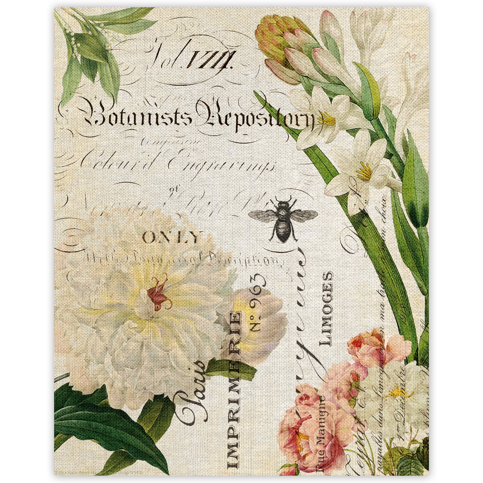 Botany Collage II Floral Canvas Wall Art, 16x20