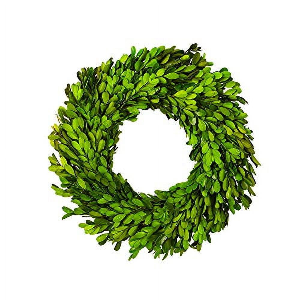 10-Inch Preserved Boxwood Wreath for Holiday Decor