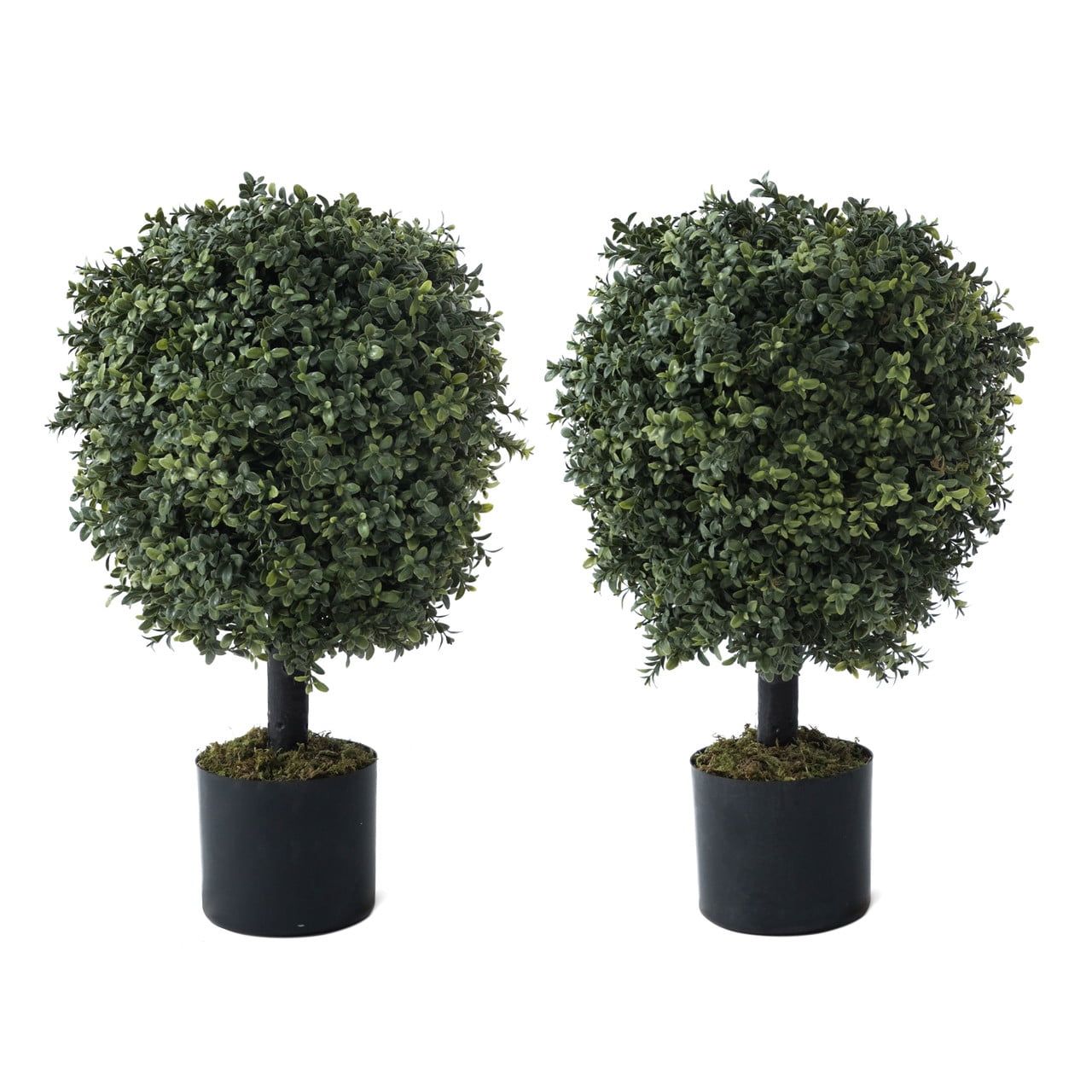 Set of 2 Green Artificial Boxwood Topiary Trees in Black Pots