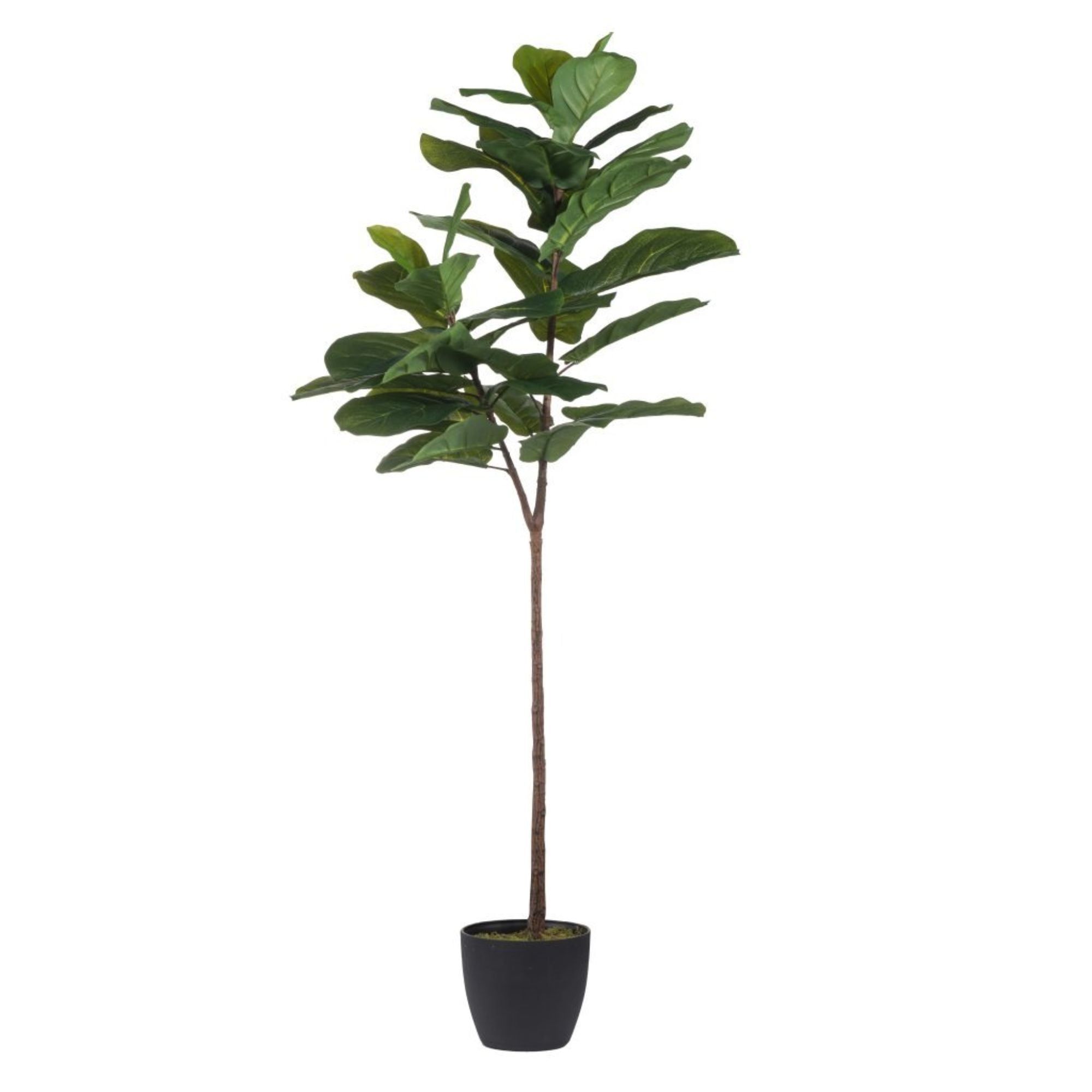 59" Black and Green Artificial Fiddle-Leaf Fig Tree