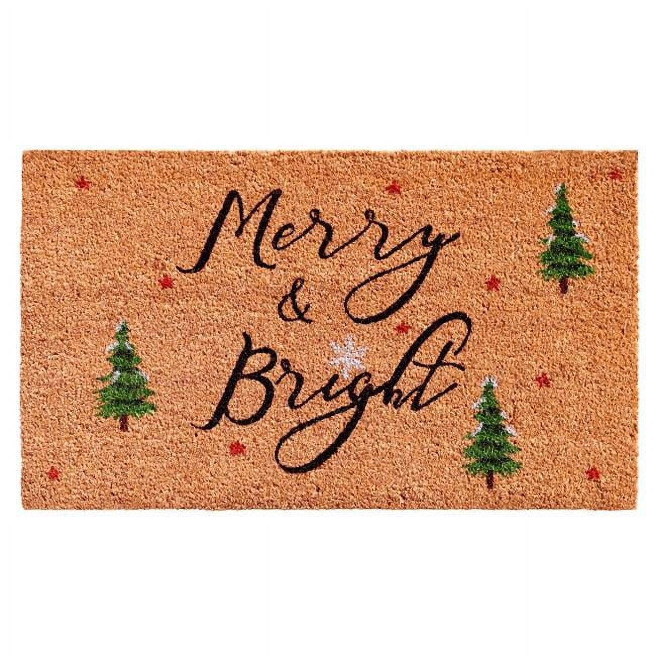 Modern Coir Winter Welcome Outdoor Doormat 29" x 17"