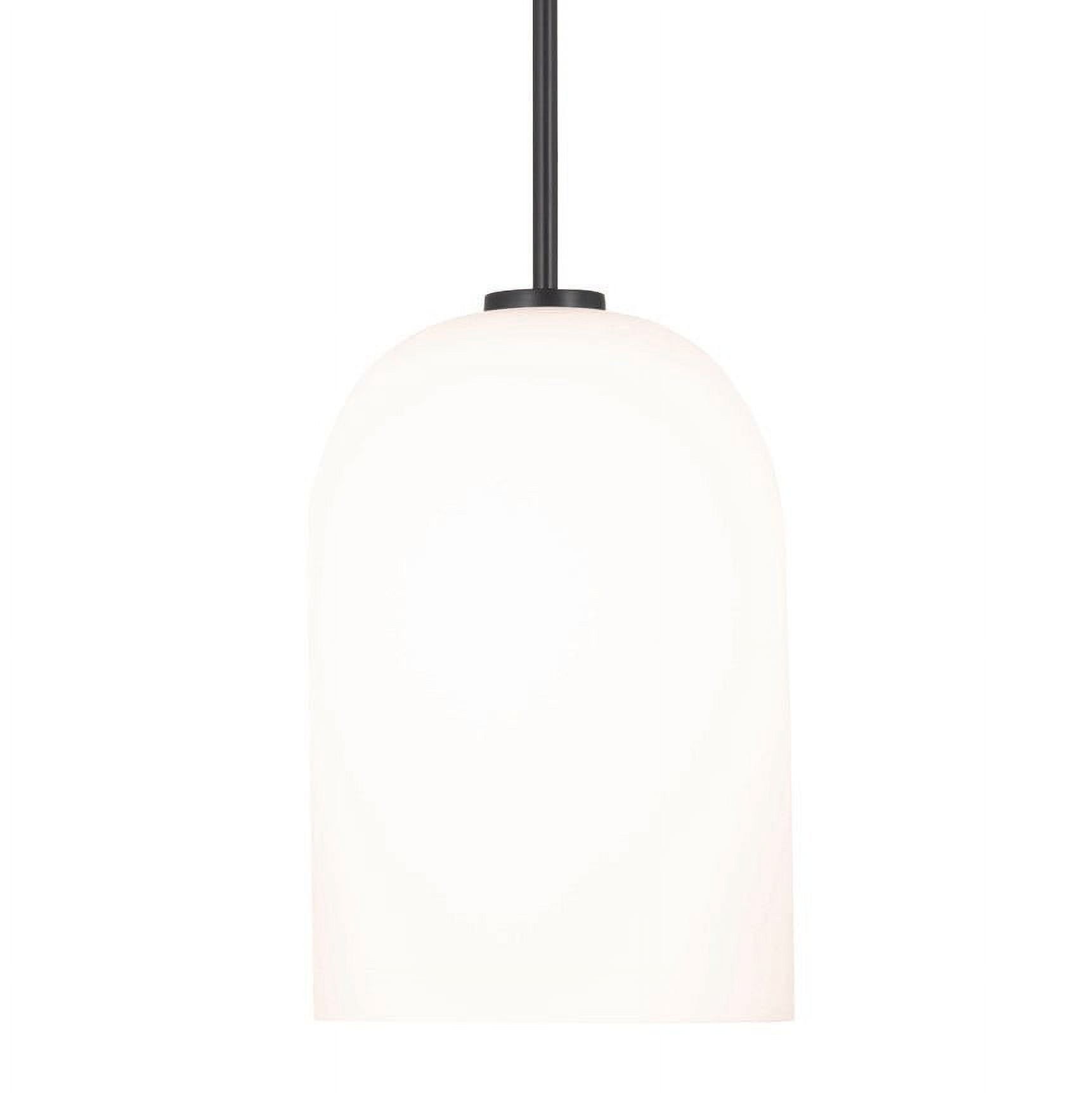 Matte Black Glass and Nickel Indoor/Outdoor Pendant Light