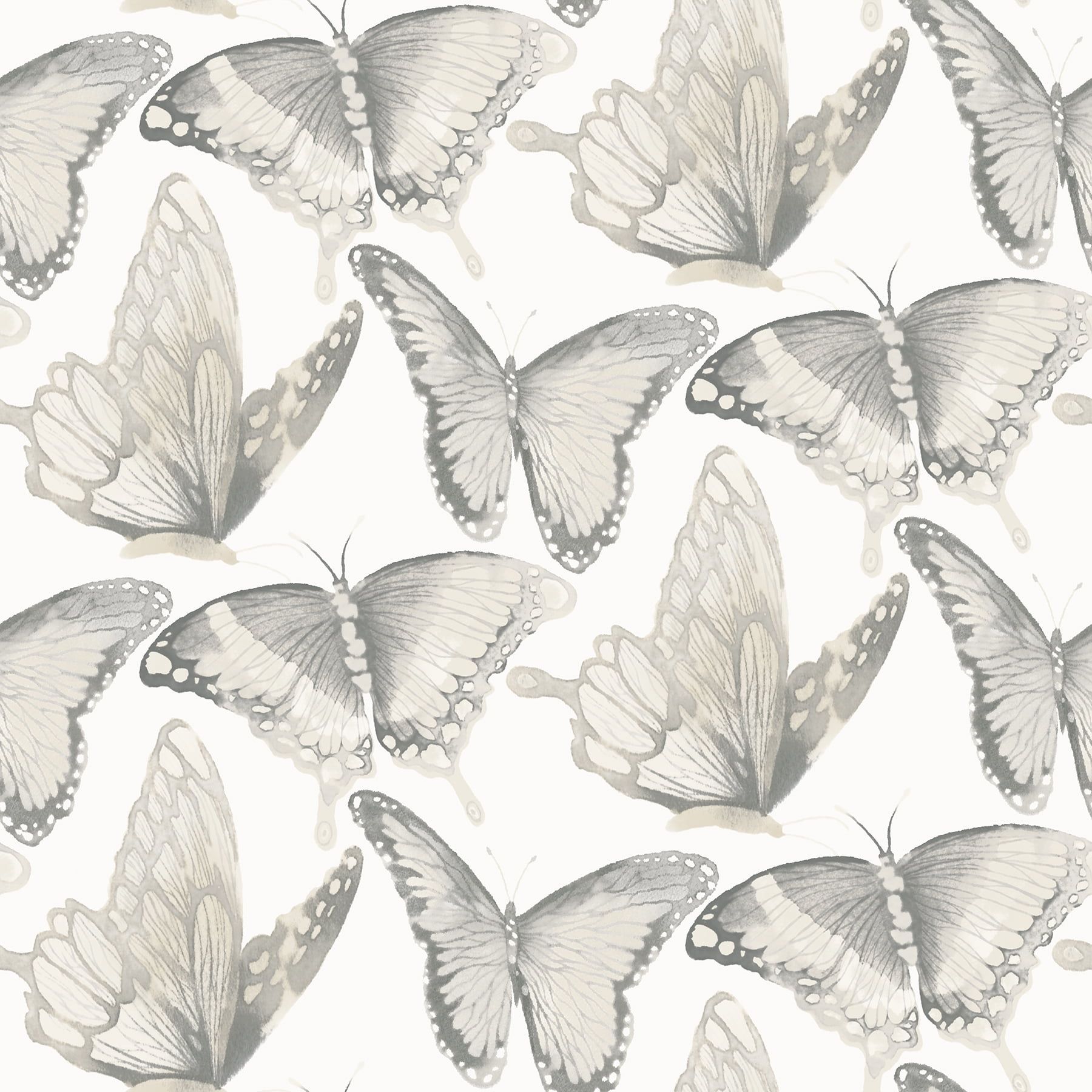 Janetta Grey Butterfly Watercolor Wallpaper