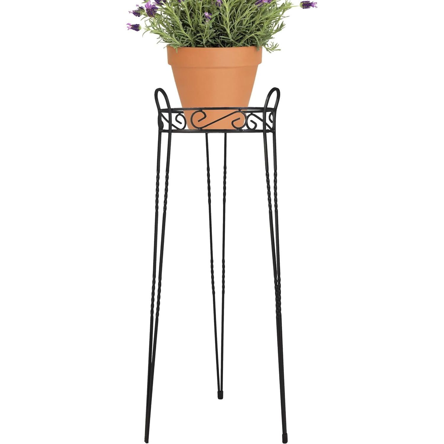 Canterbury Scroll Top Textured Black Metal Outdoor Plant Stand, 30"