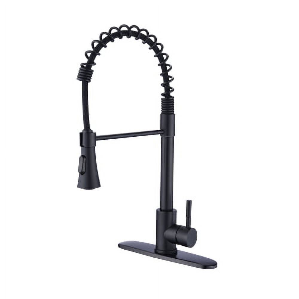 Matte Black Stainless Steel Pull-Down Kitchen Faucet with Deck Plate