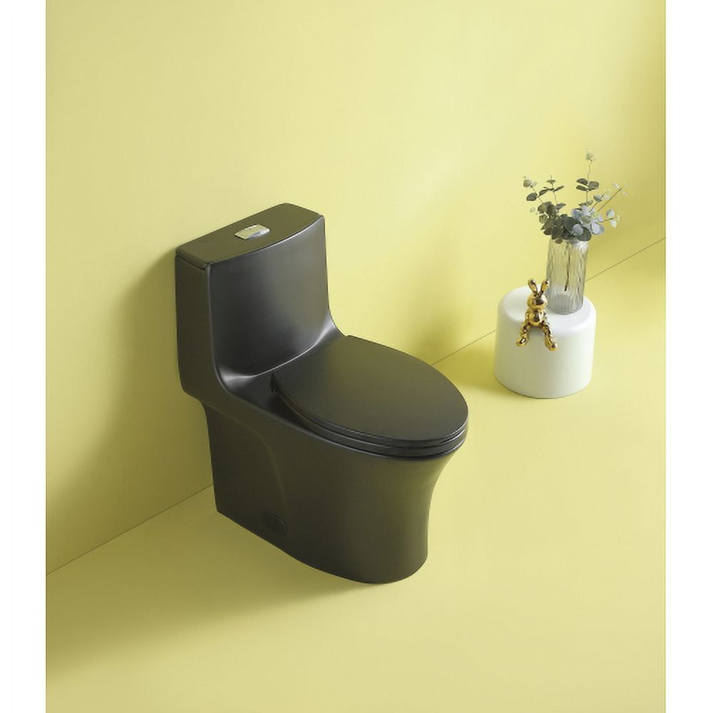 Matte Black Ceramic Elongated One-Piece Dual Flush Toilet