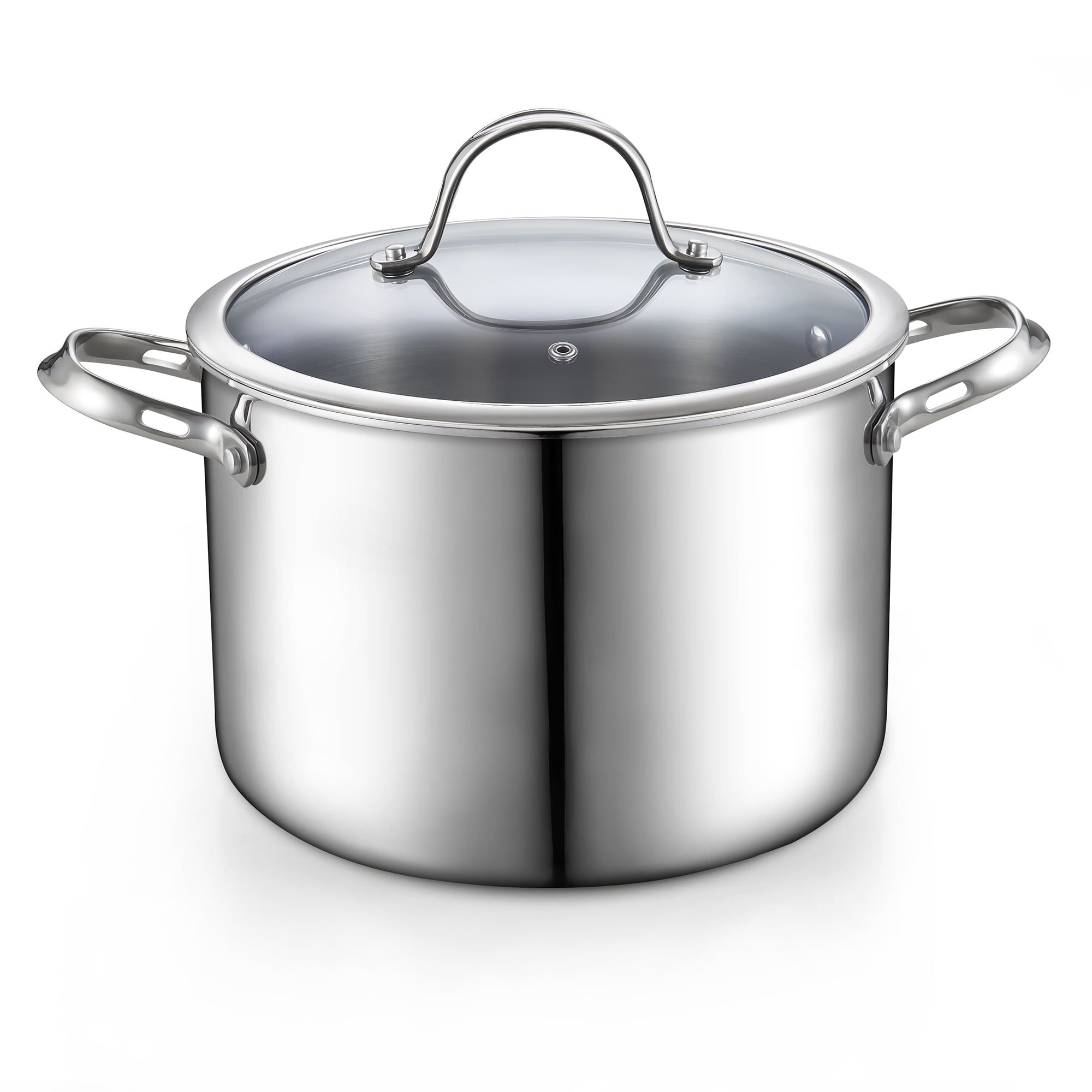 8-Quart Silver Stainless Steel Stock Pot with Glass Lid