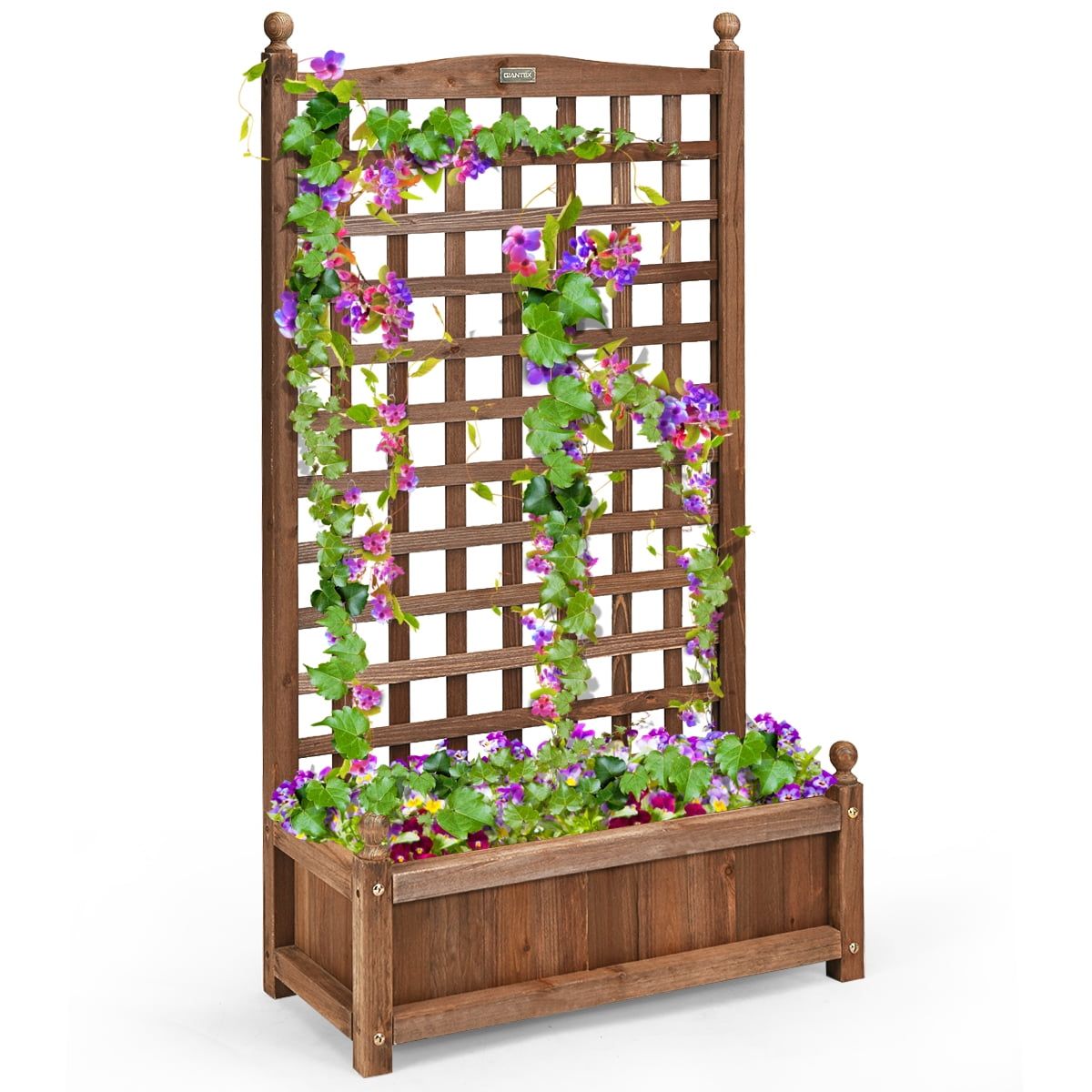 Medium Brown Solid Wood Planter Box with Trellis