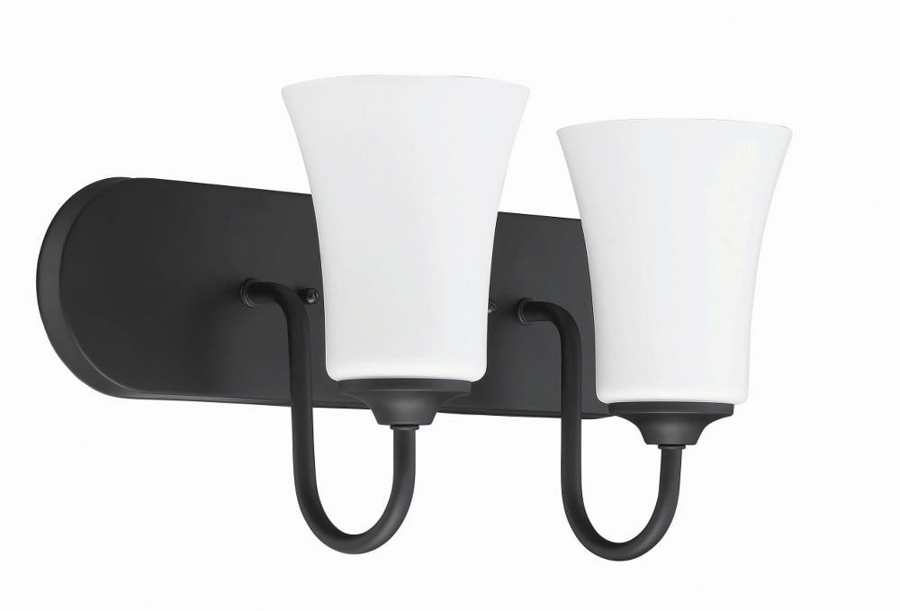 Modern Black and White 2-Light Wall Sconce with Frosted Glass Shades