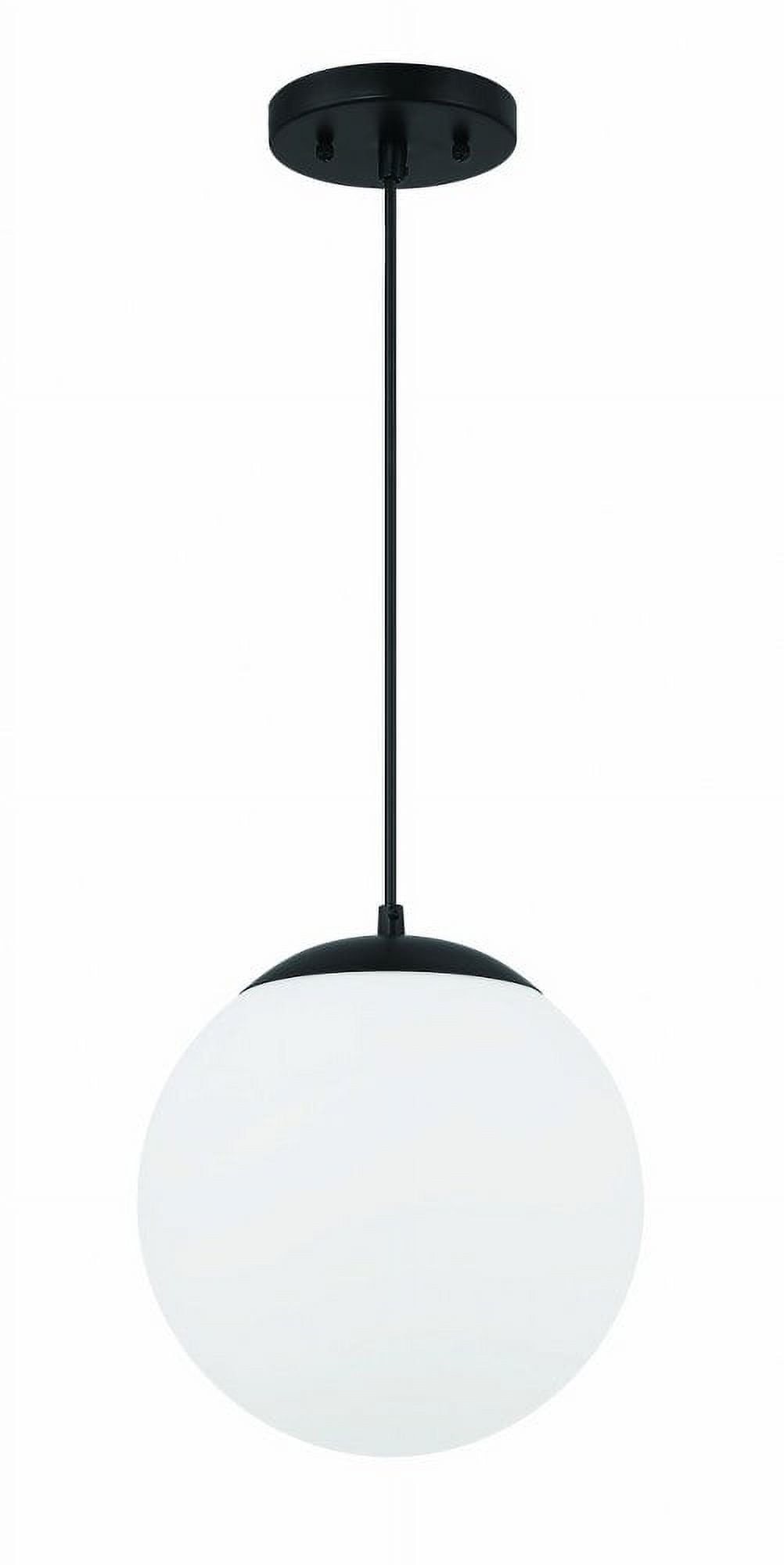 Flat Black and White Glass Globe Pendant Light