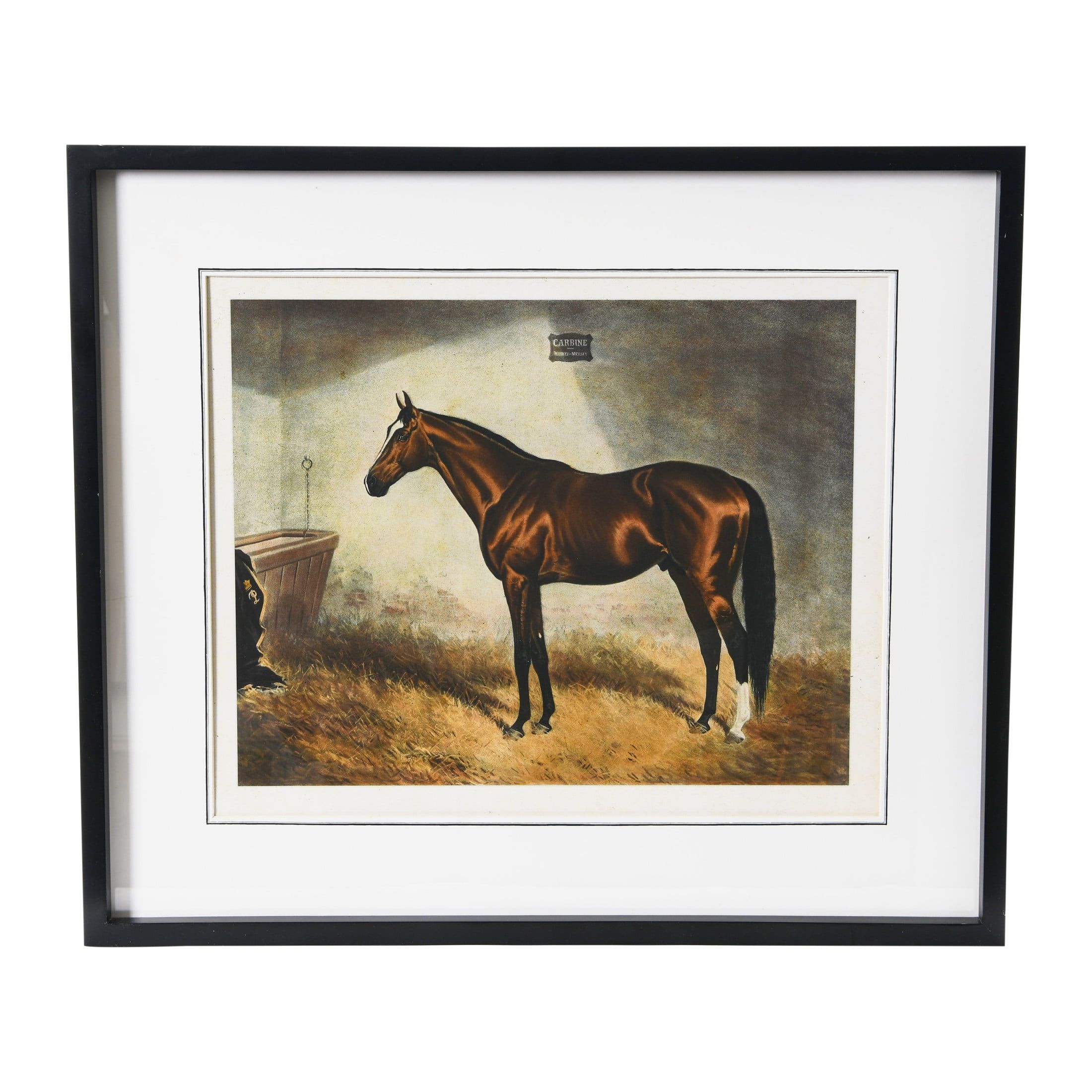 Elegant Horse Print with Black Wood Frame, 28" x 24"