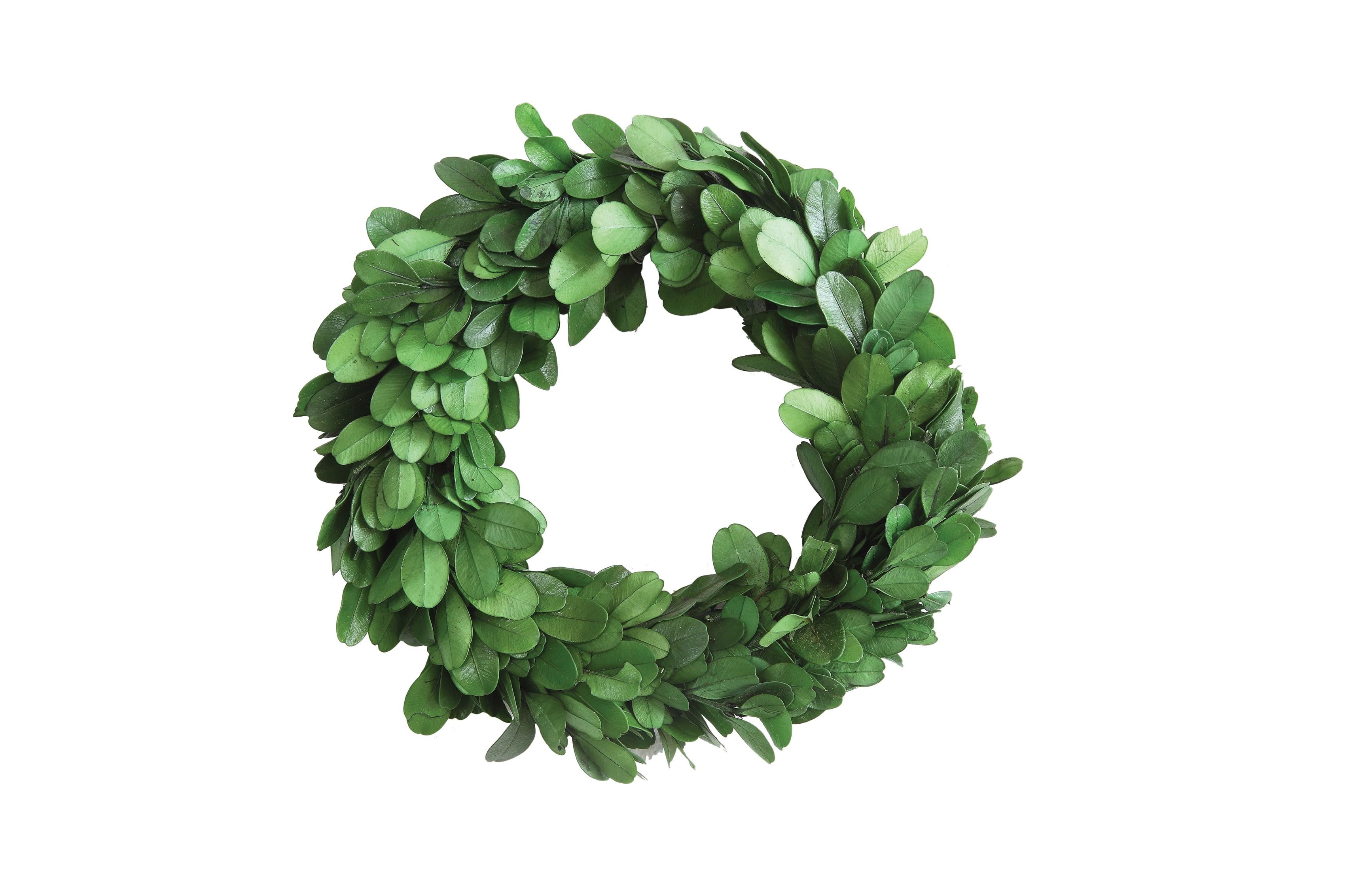 6" Deep Green Preserved Boxwood Wreath