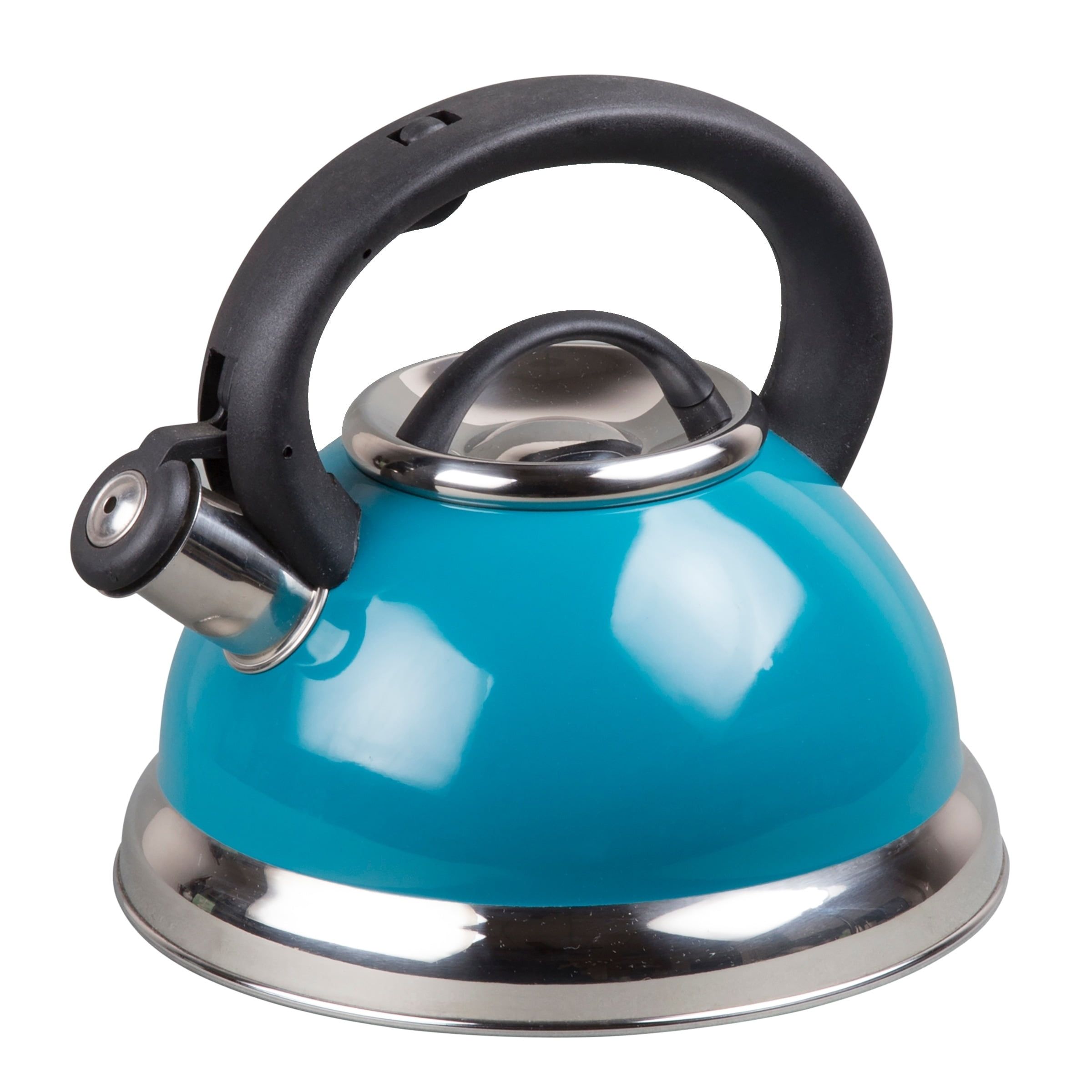 Aqua Stainless Steel Whistling Tea Kettle with Heat Resistant Handle