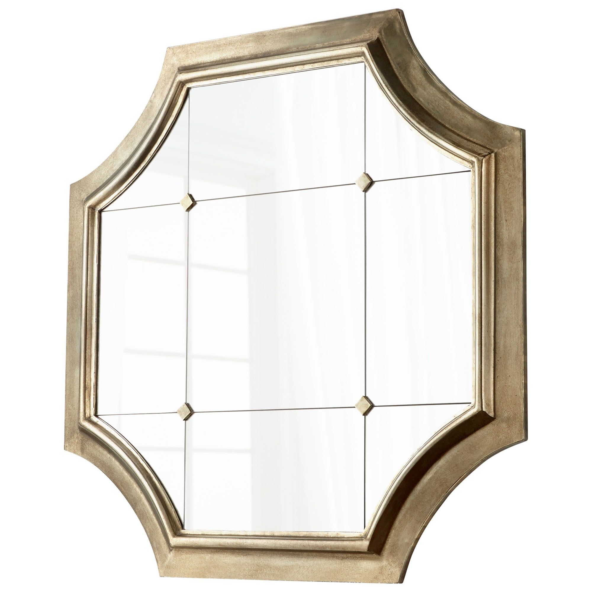 Elegant Vasco 50" Silver Metal Framed Mirror with Glass Panels