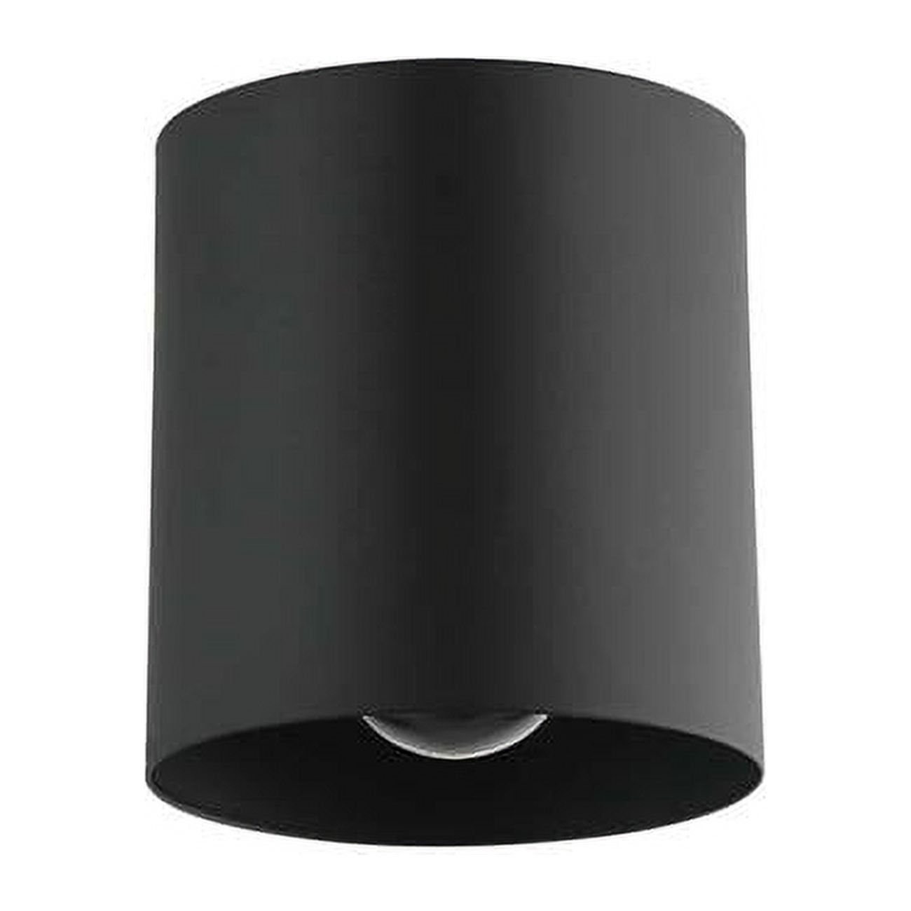 Matte Black Glass Globe Indoor/Outdoor Ceiling Light