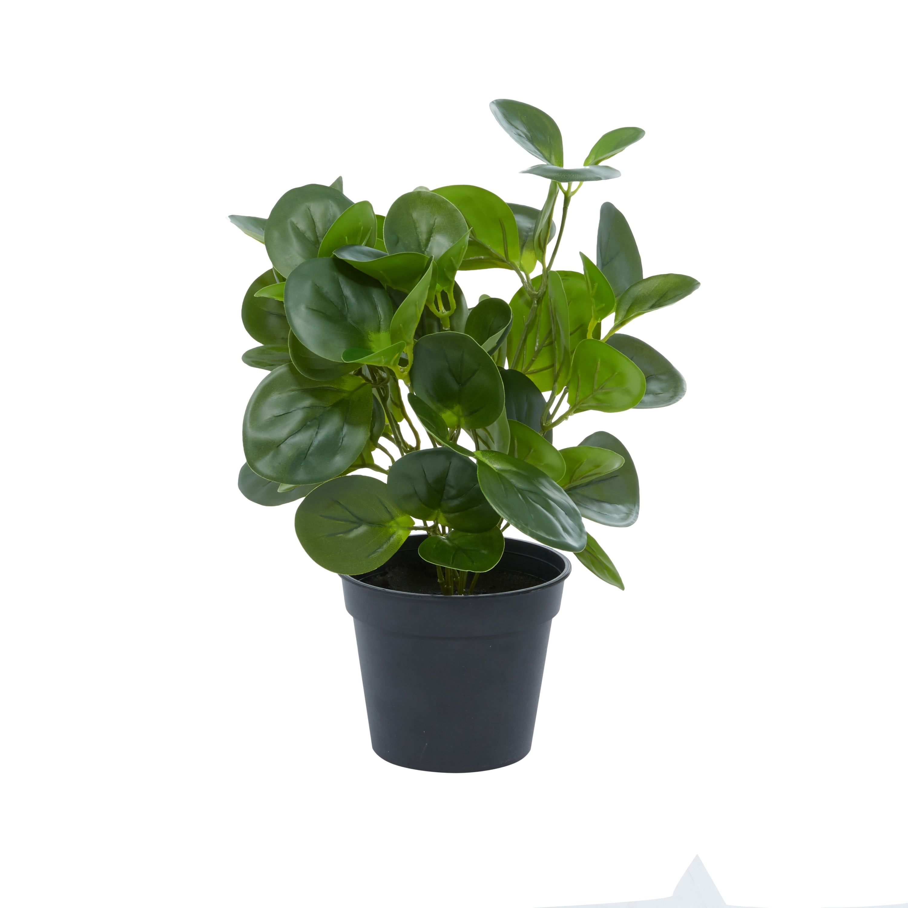 13" Green Artificial Eucalyptus Plant in Black Pot