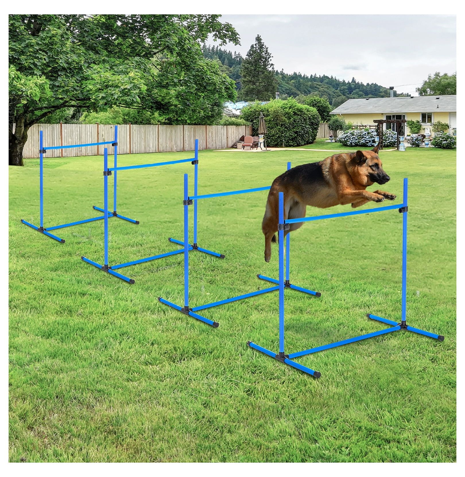 Blue Adjustable 4-Bar Dog Agility Training Set