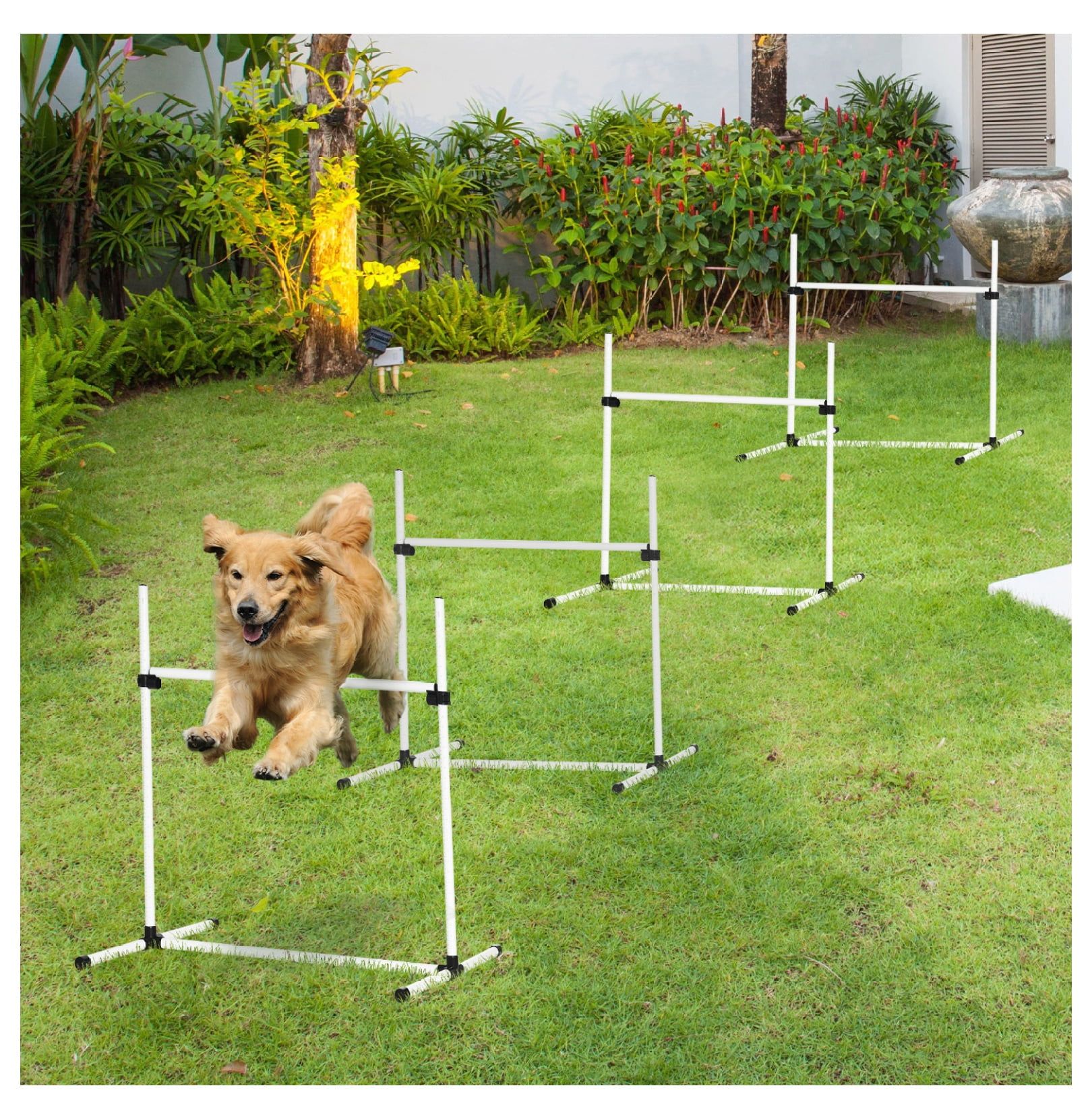 White Adjustable 4-Bar Dog Agility Training Set