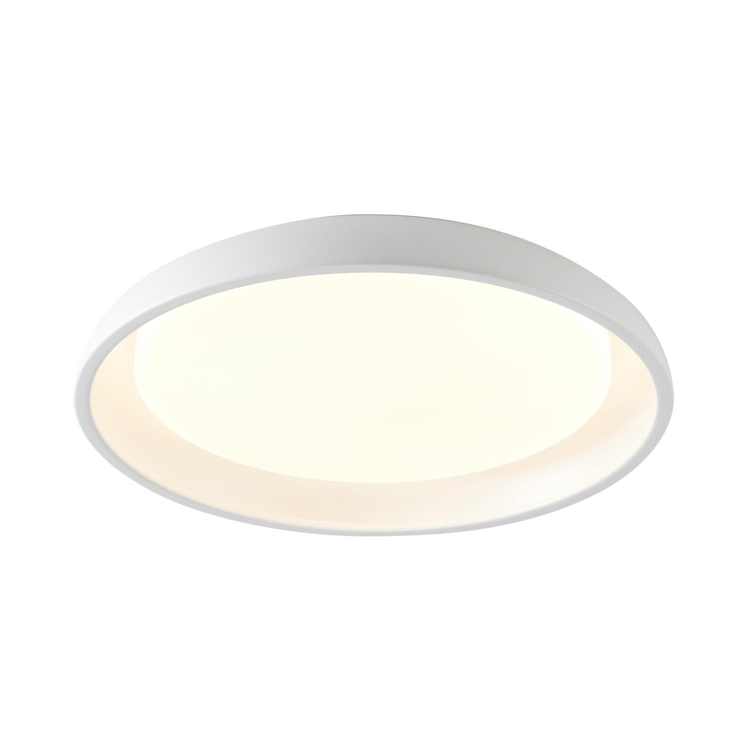 Matte White 24" LED Flush Mount Light with Acrylic Diffuser