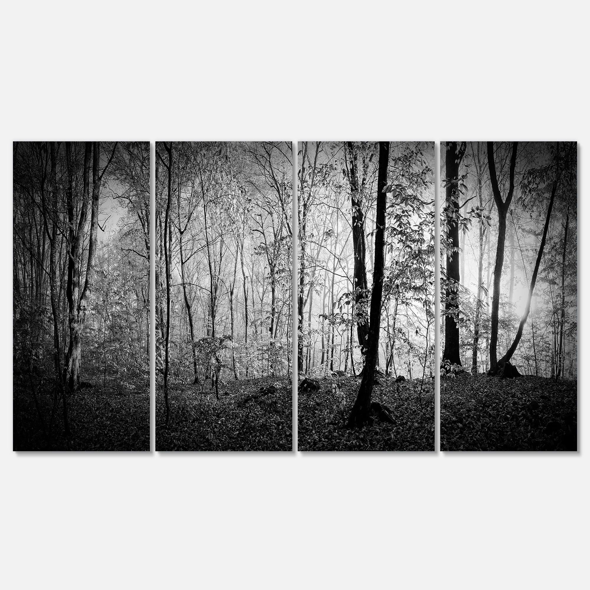 Black and White Forest Morning Panorama Canvas Art Print