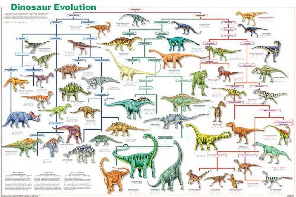 Square Dinosaur Evolution Poster with Vibrant Colors