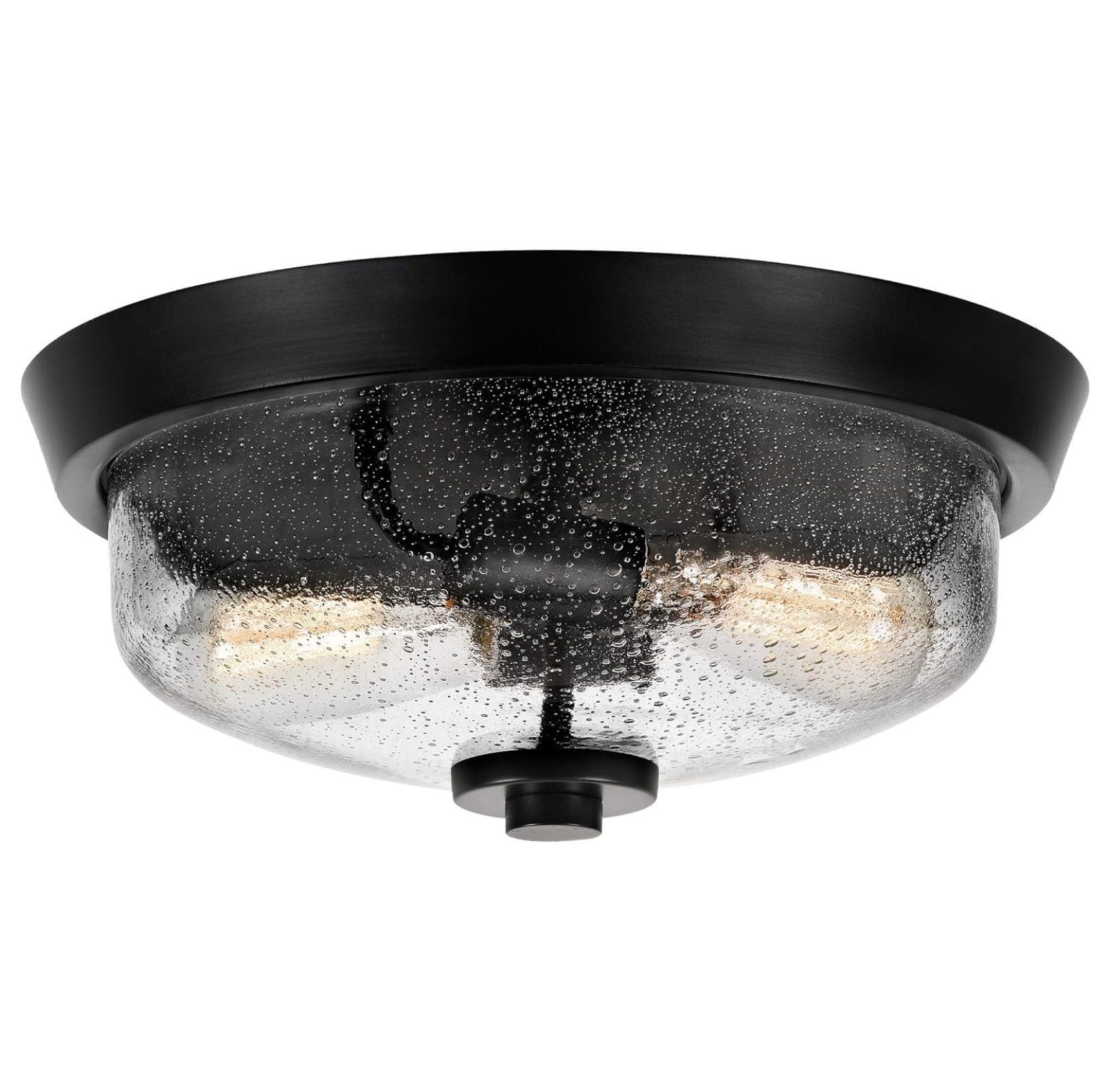 Radius Black Glass 2-Light Indoor/Outdoor Flush Mount Ceiling Light