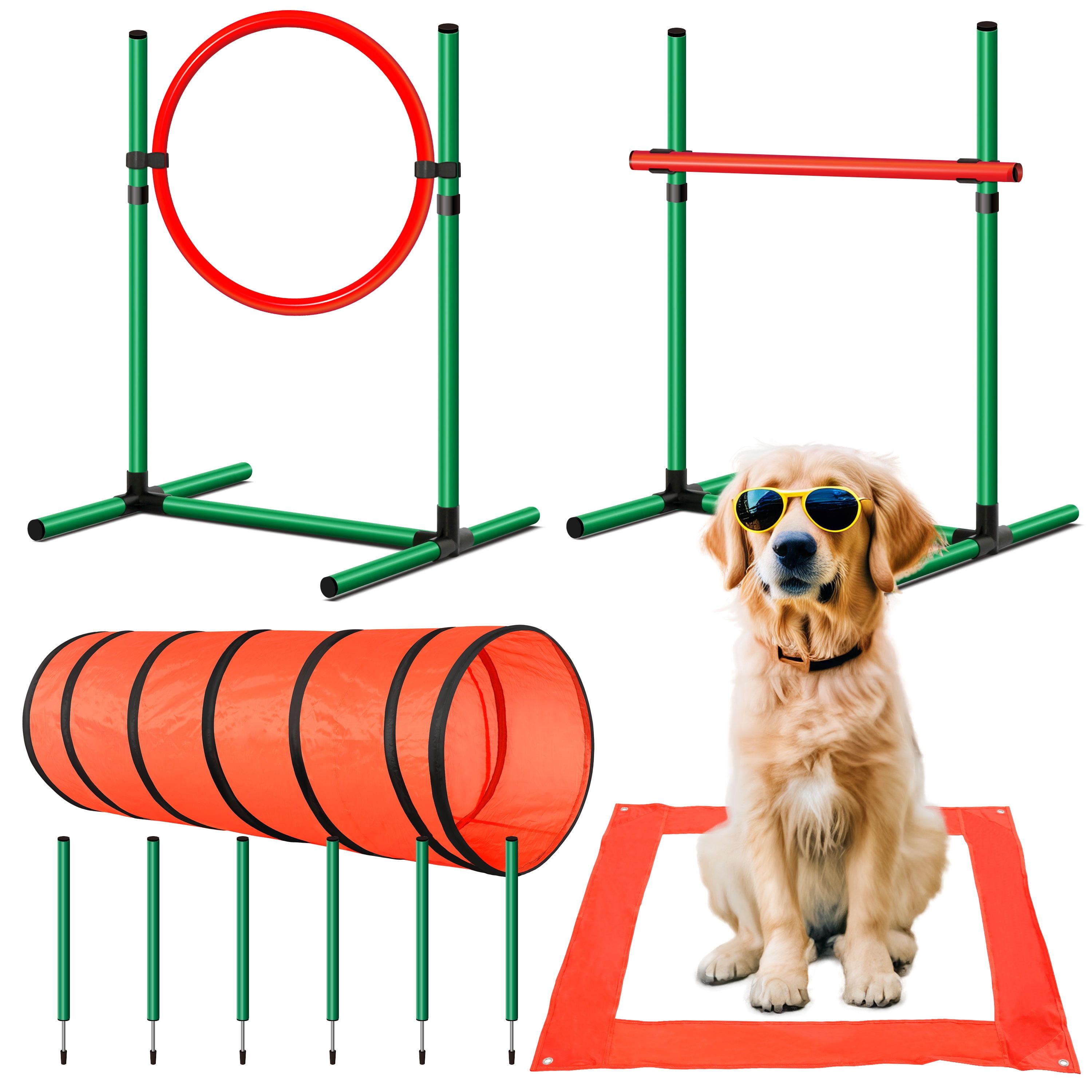 Orange and Green Dog Agility Training Set with Tunnel and Hurdles