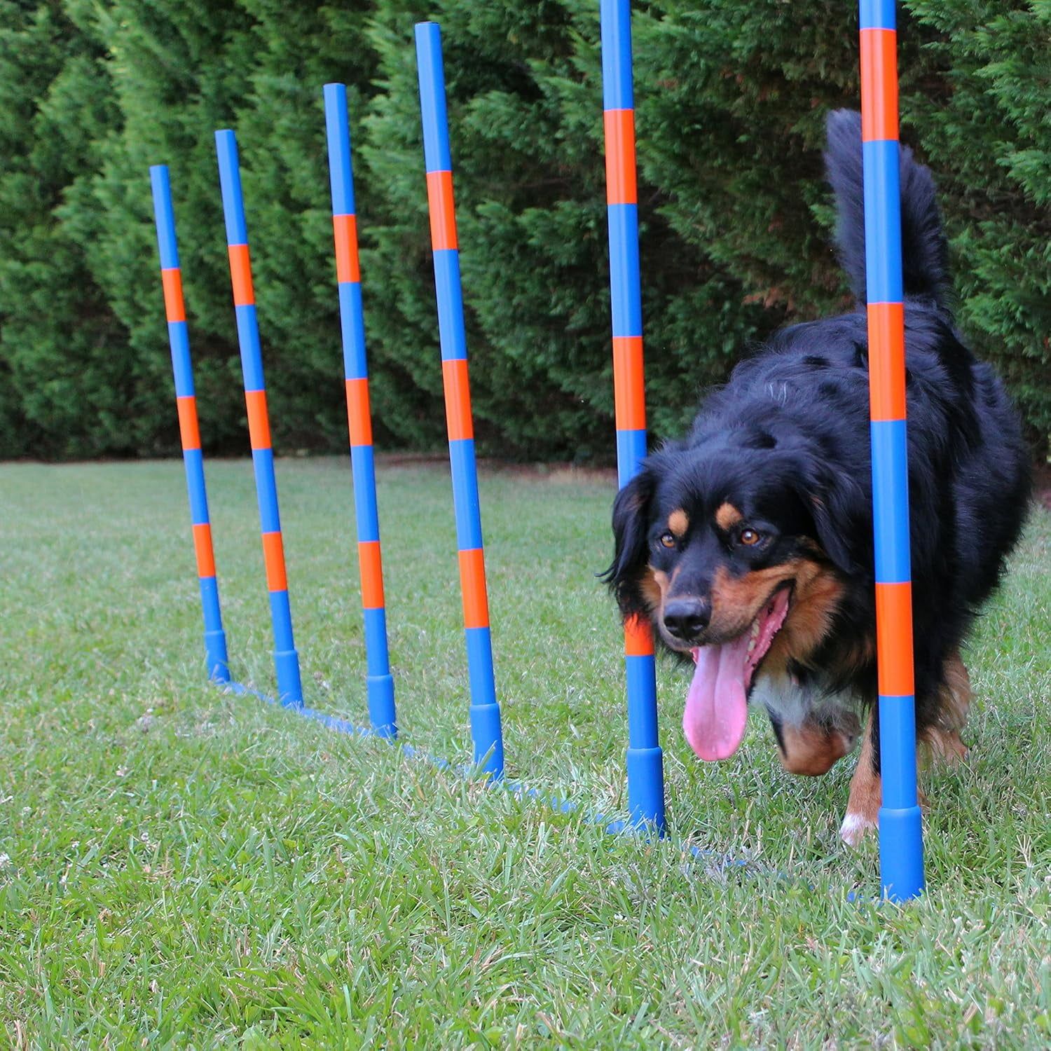 Adjustable Blue and Orange Dog Agility Weave Pole Set with Carrying Case