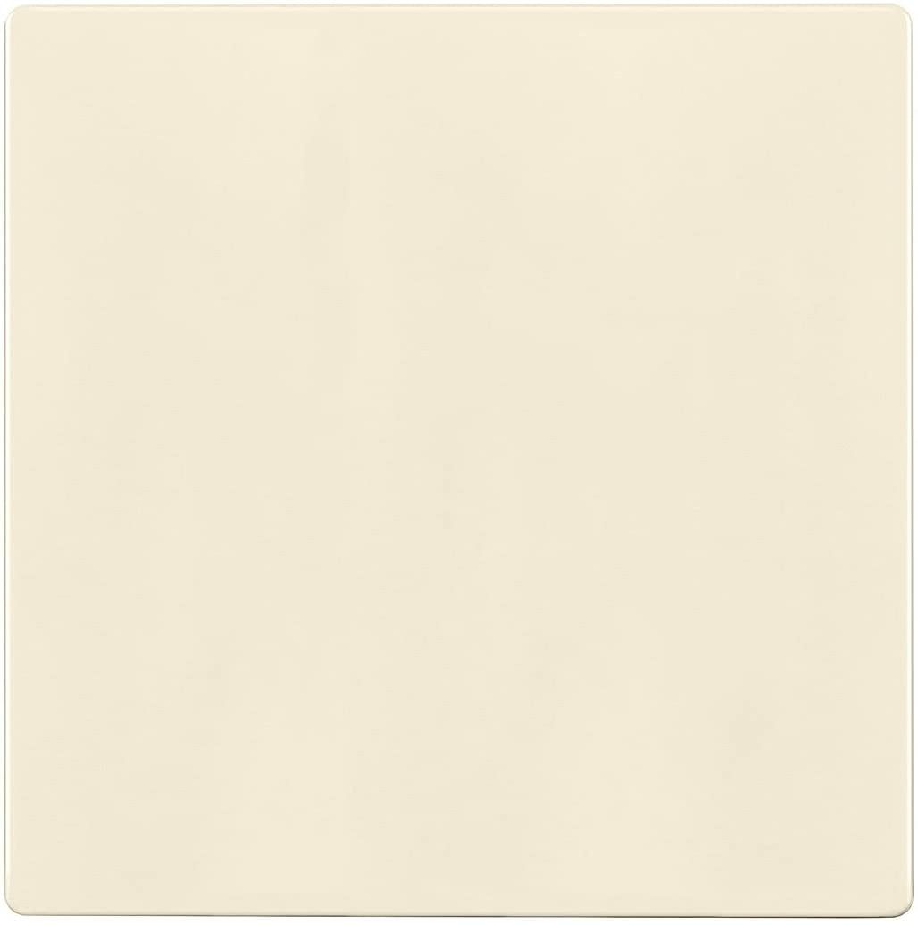 Light Almond 2-Gang Screwless Blank Wall Plate