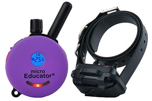 Micro Educator Purple Remote Light-Up Dog Training Collar