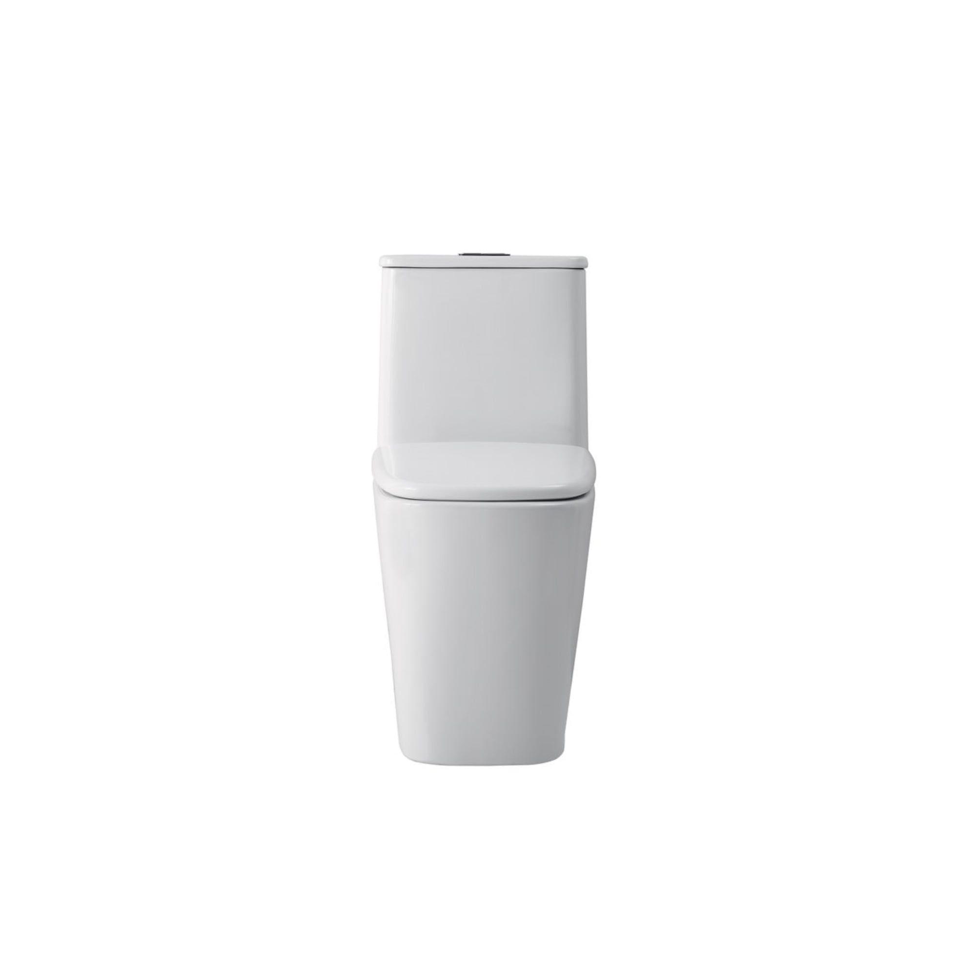 White Elongated Free Standing Dual Flush Toilet