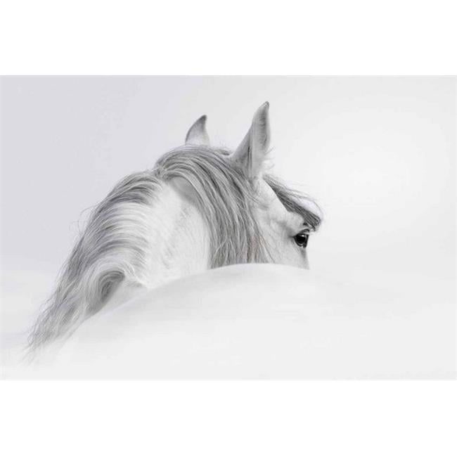 Blanco Mare Horse Frameless Tempered Glass Wall Art, 48" x 32"