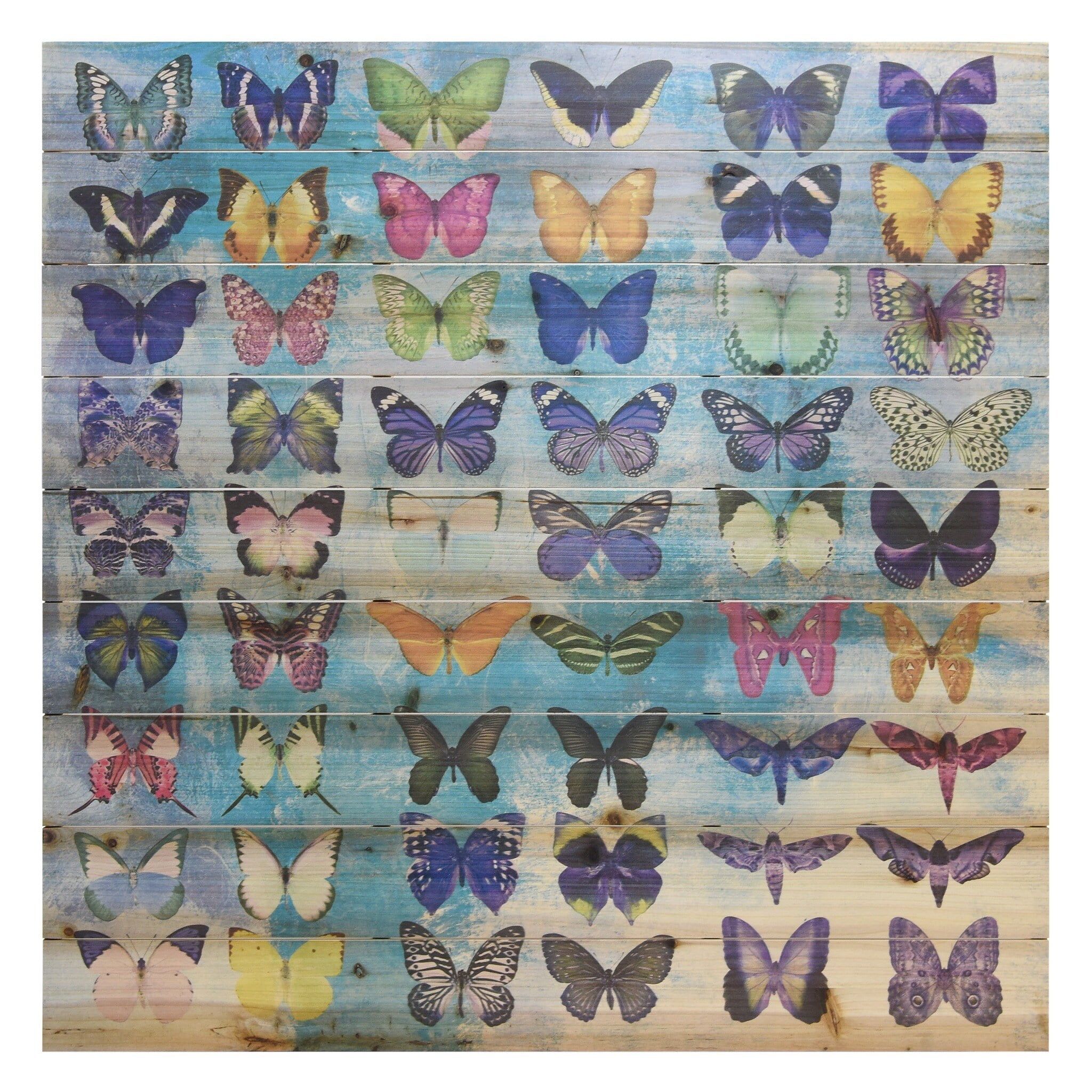 Colorful Butterfly Collection Print on Fir Wood Wall Art, 39" x 39"