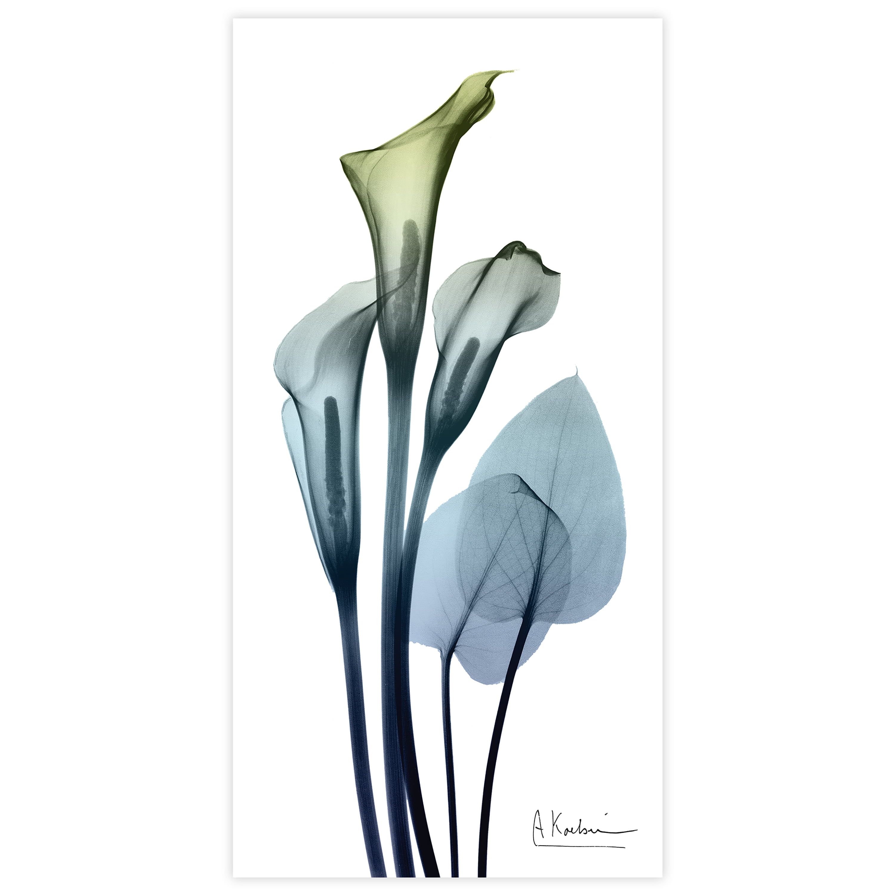 Calia Lily X-Ray Tempered Glass Wall Art, 24" x 48"