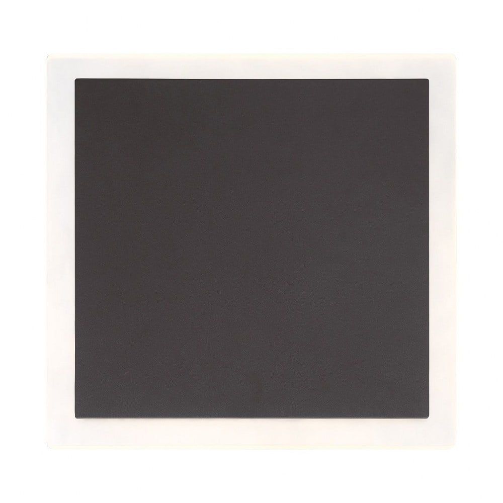 Graphite Grey Opal Glass LED Outdoor Wall Sconce