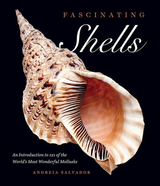 Fascinating Shells: Introduction to 121 Wonderful Mollusks Hardcover