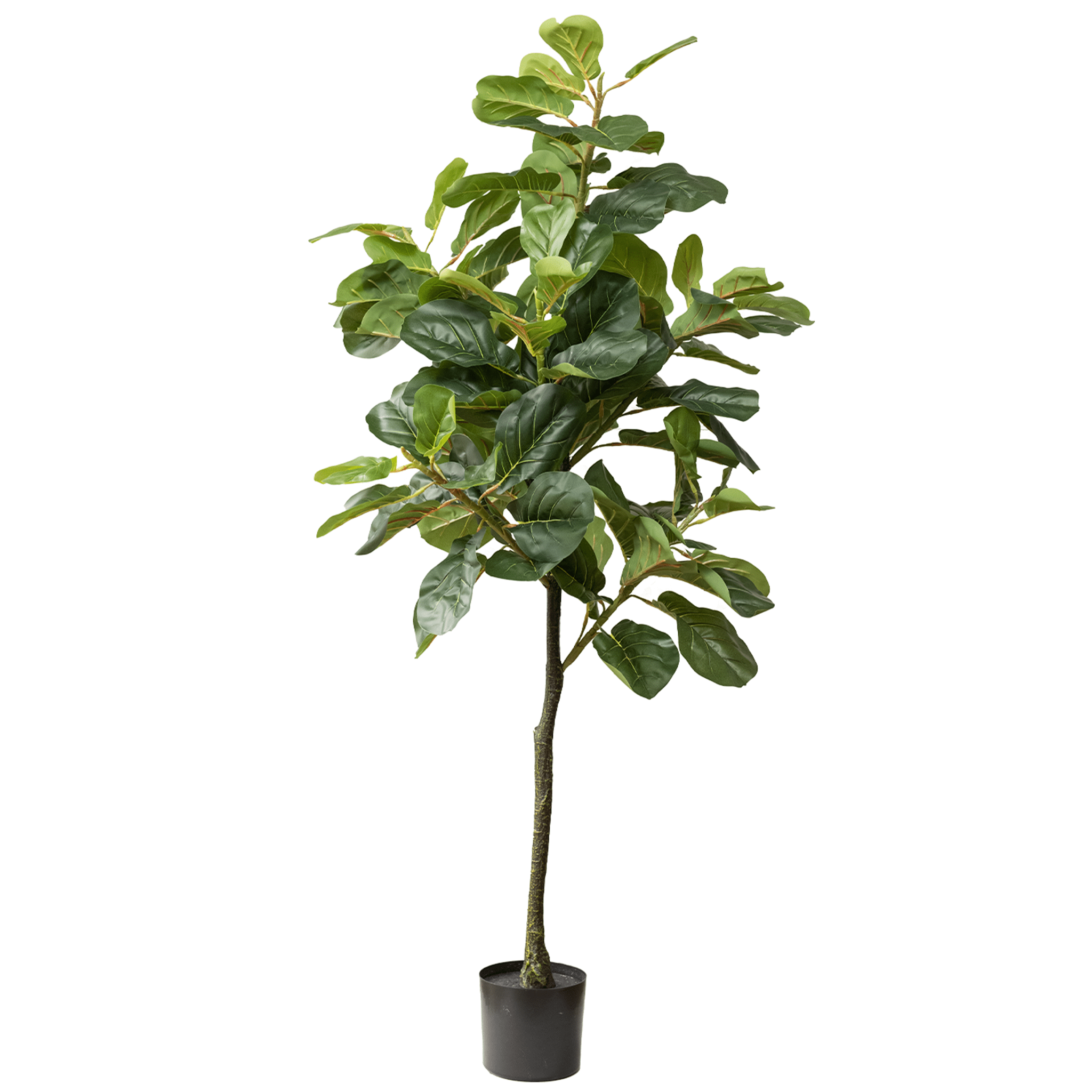 Elegant 59" Faux Fiddle Leaf Fig in Sleek Black Pot