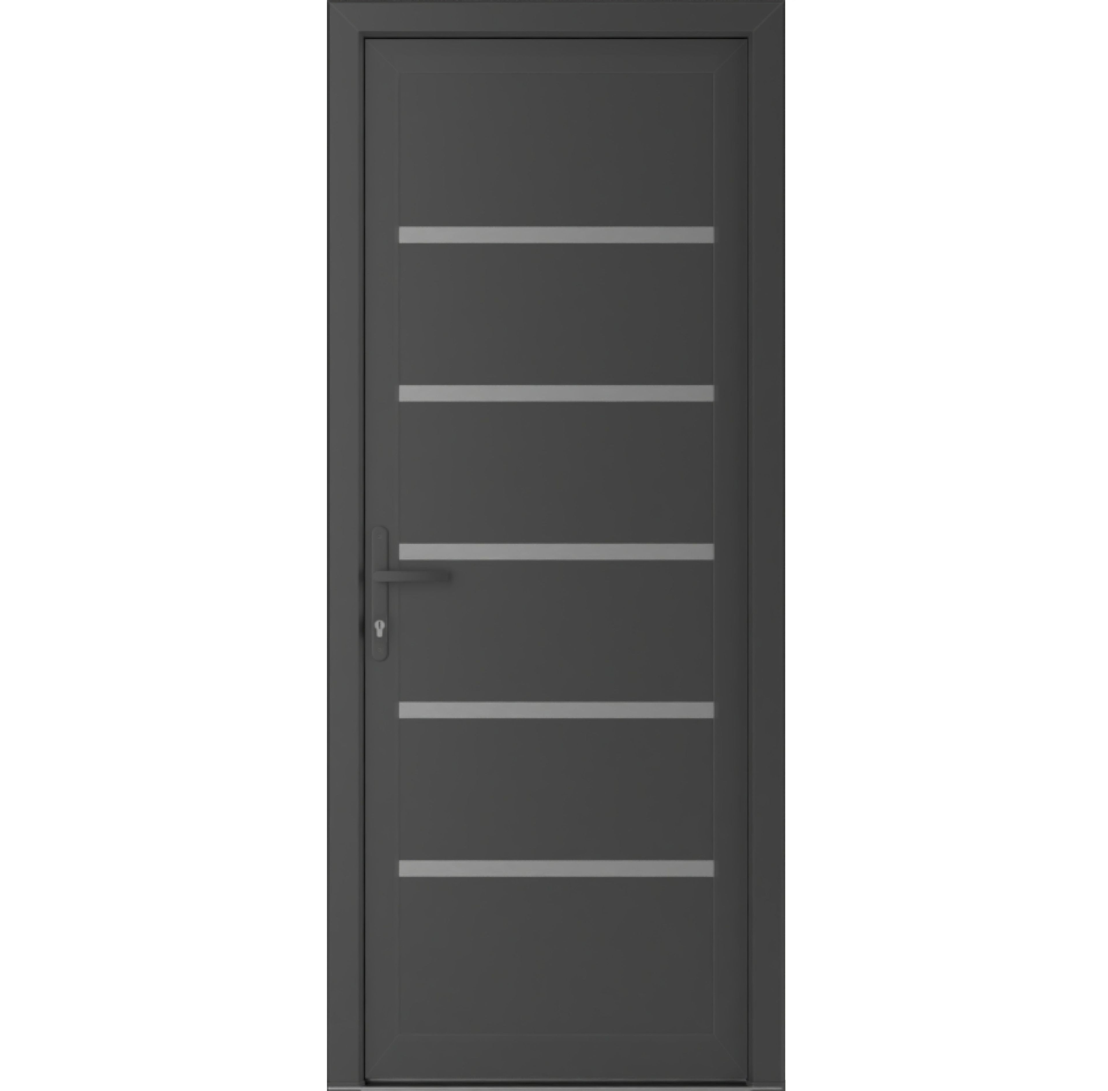 Antracite Grey 30x80 Modern Metal Exterior Door with Sidelites