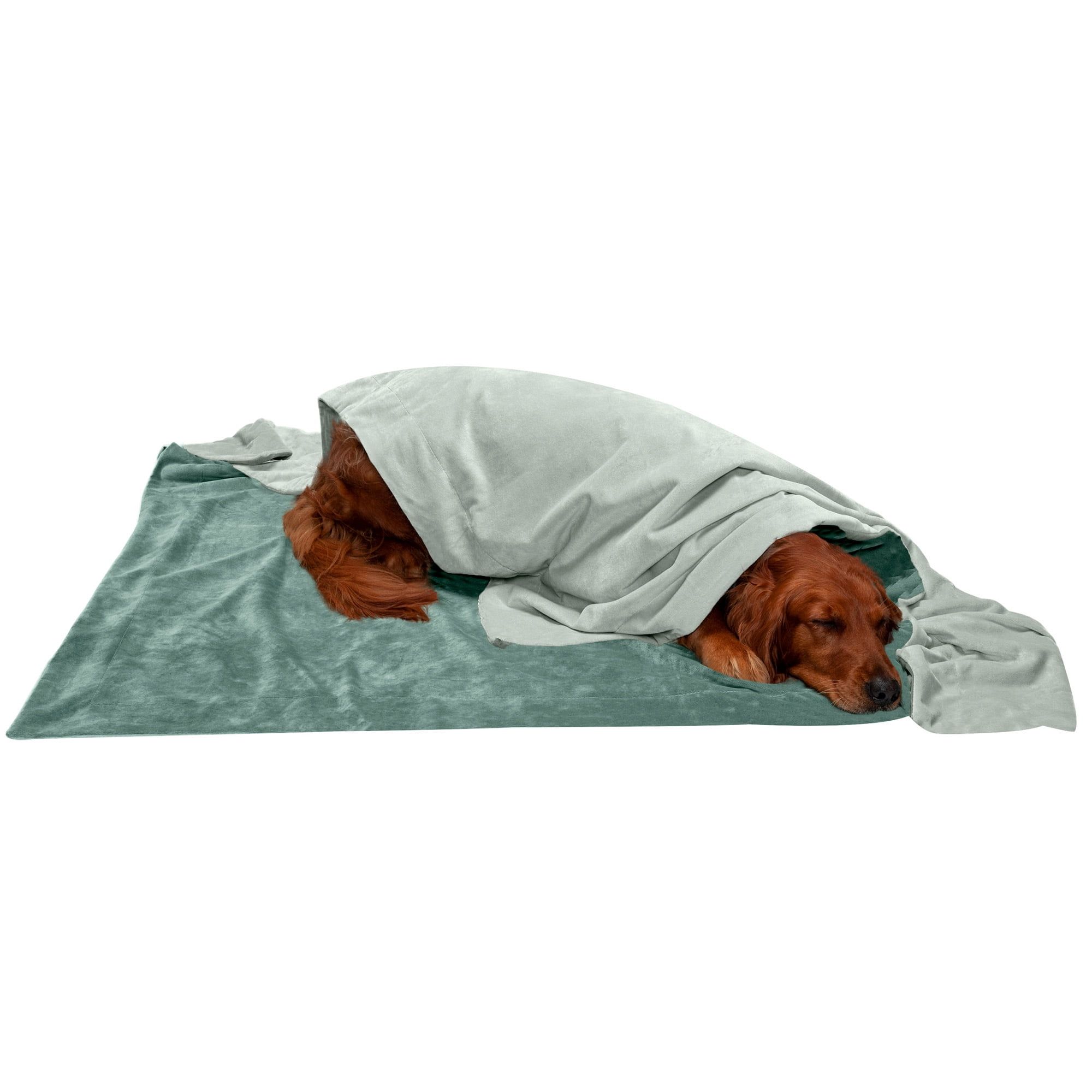 Celadon Green XL Reversible Velvet Waterproof Pet Blanket