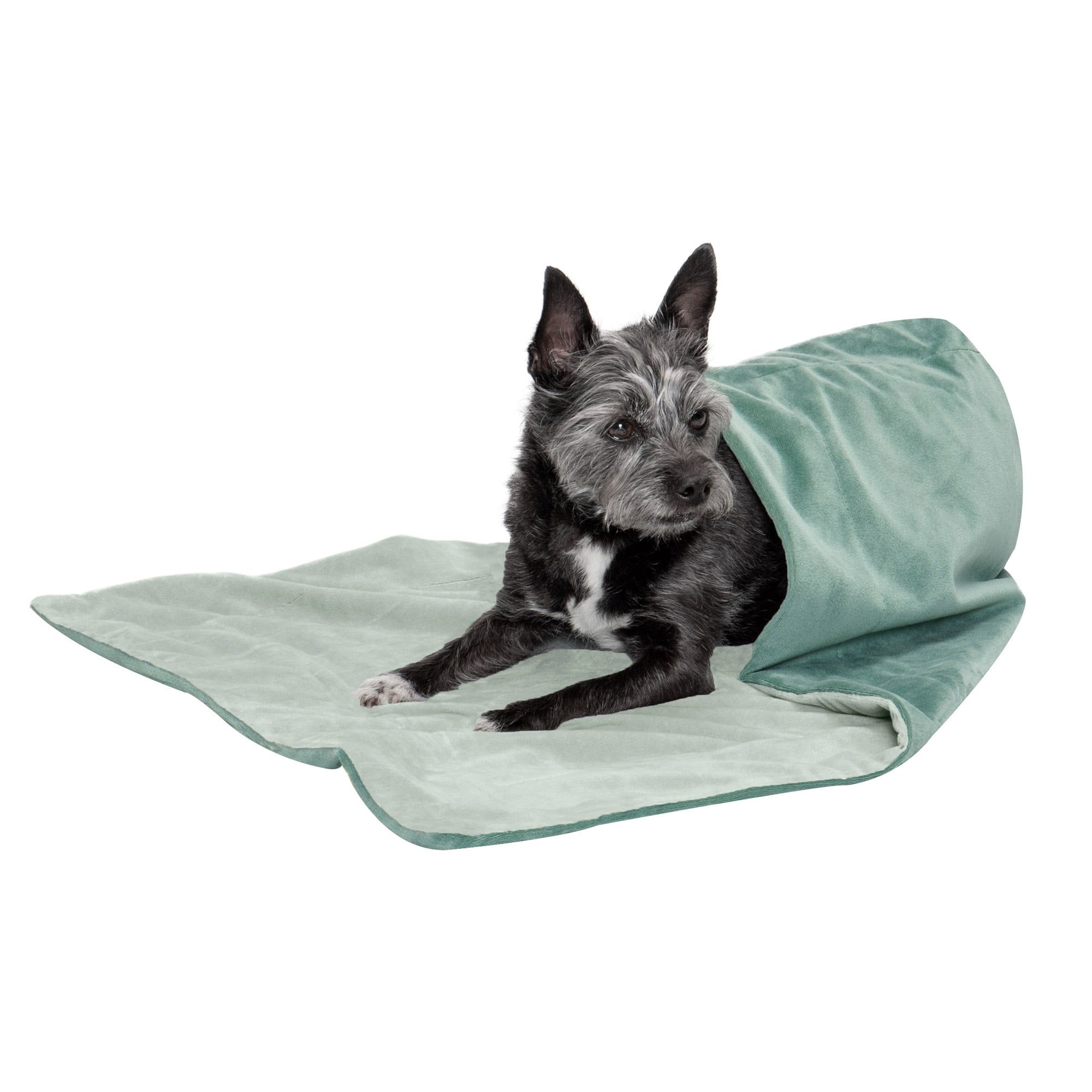 Celadon Green Small Velvet Reversible Pet Blanket