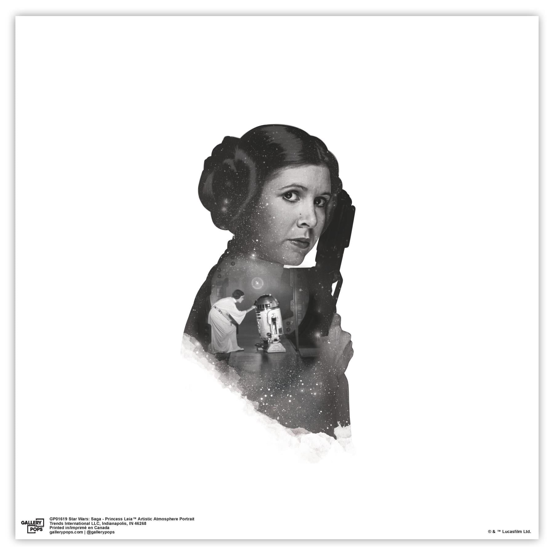 Princess Leia Star Wars Black and White Portrait Wall Art, 12" x 12"