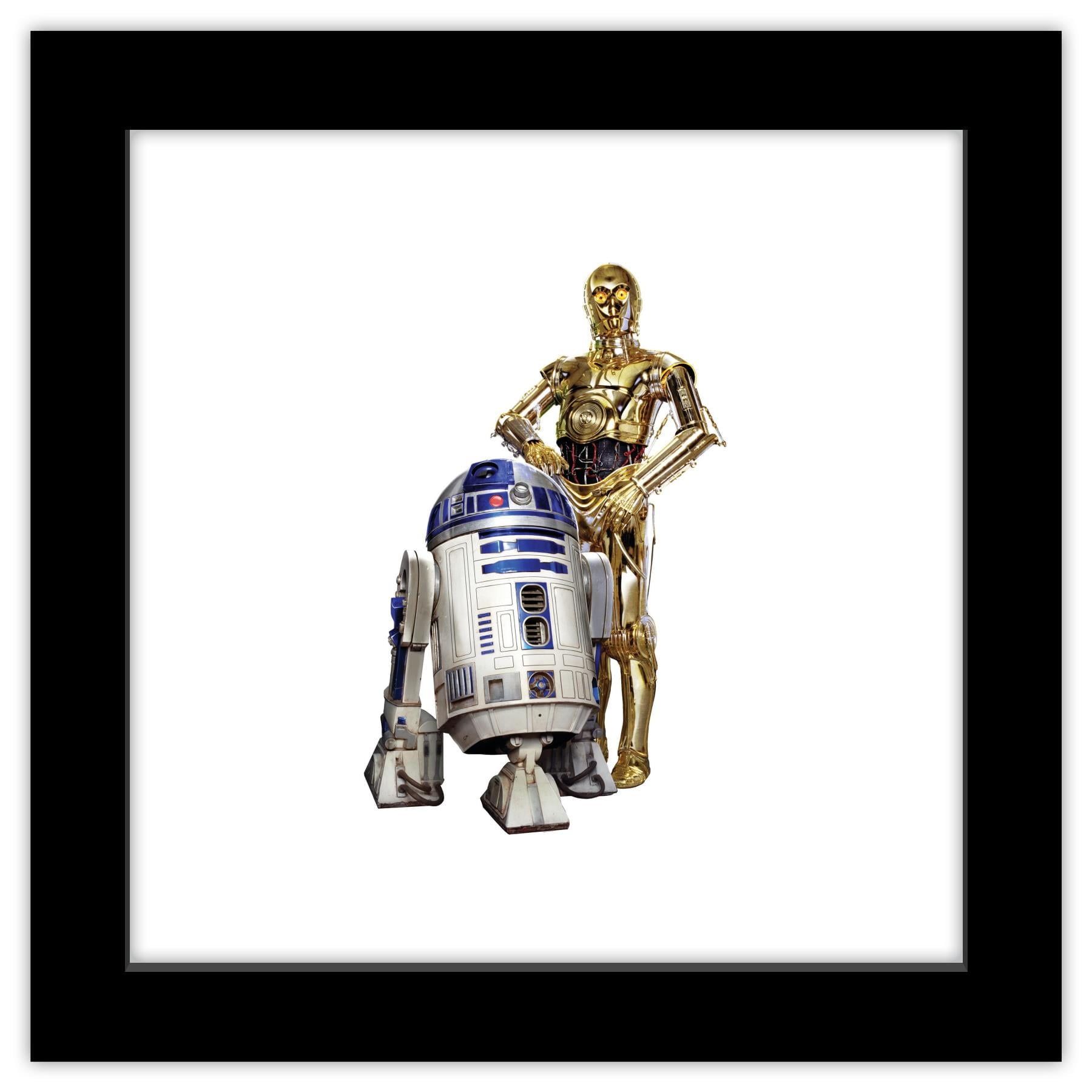 12" x 12" Black Framed Star Wars R2-D2 and C-3PO Poster