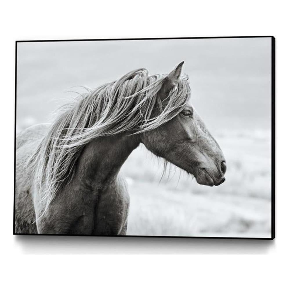 Large Black and White Horse Canvas Framed Art 32x24