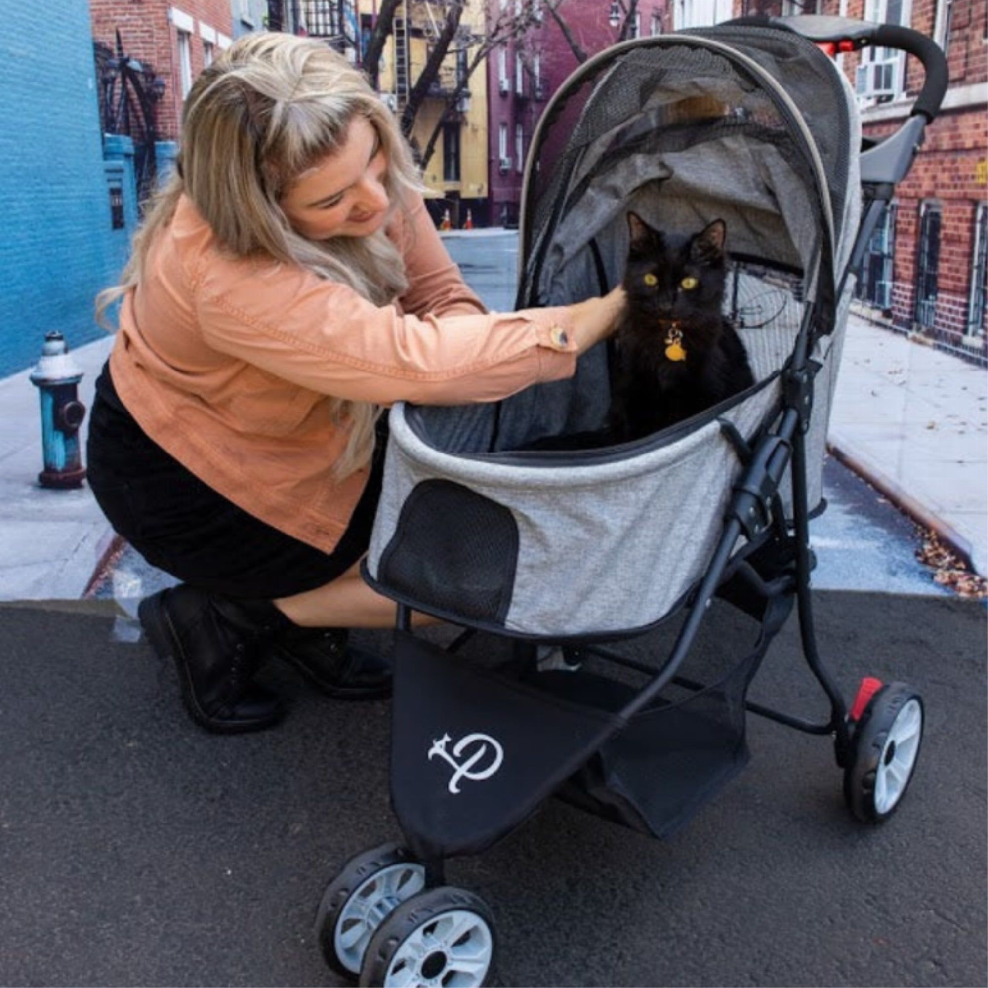 Slate Grey Lightweight Pet Stroller with Mesh Windows