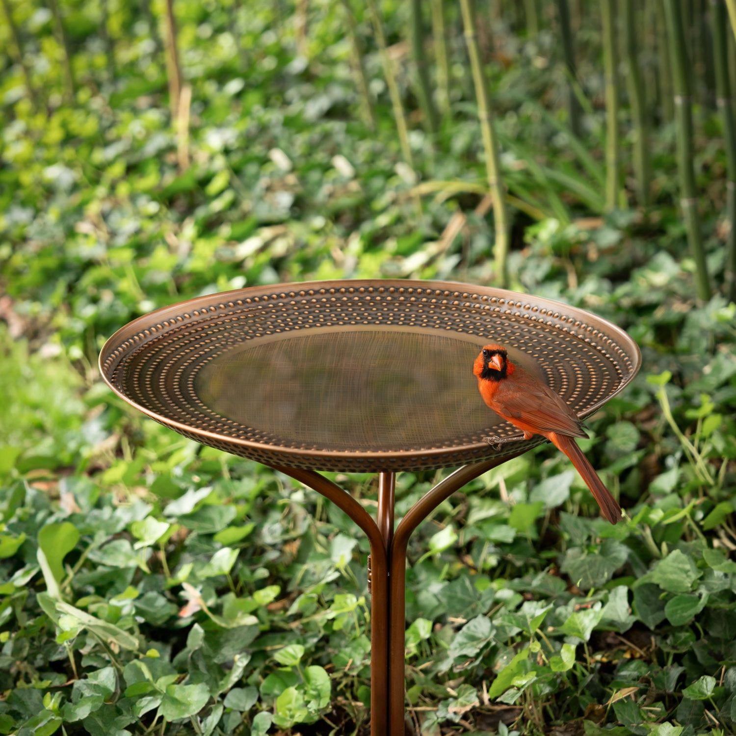 20" Bronze Copper Birdbath with Collapsible Stand