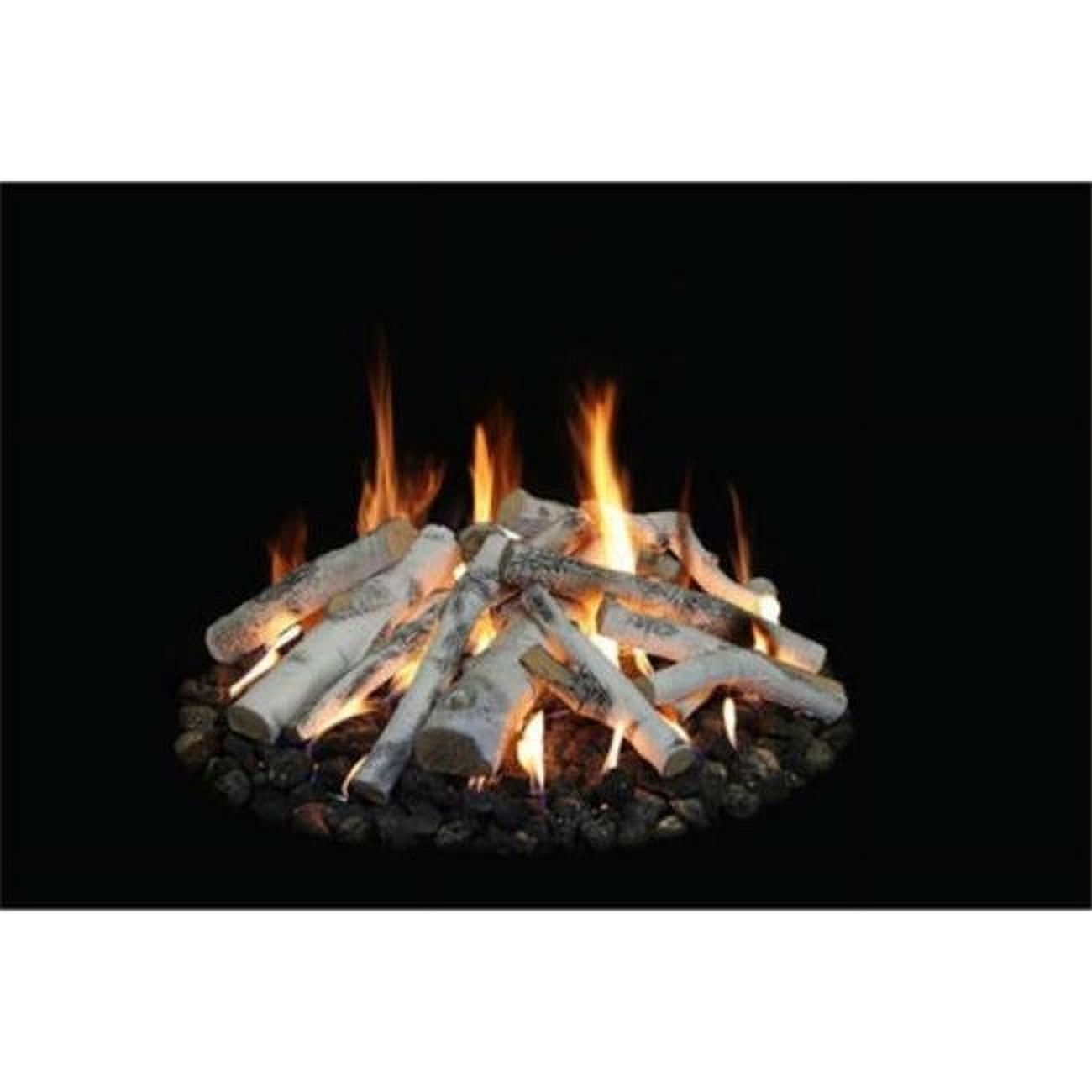 Aspen Birch 18-48" Outdoor Fire Pit Gas Logs Set